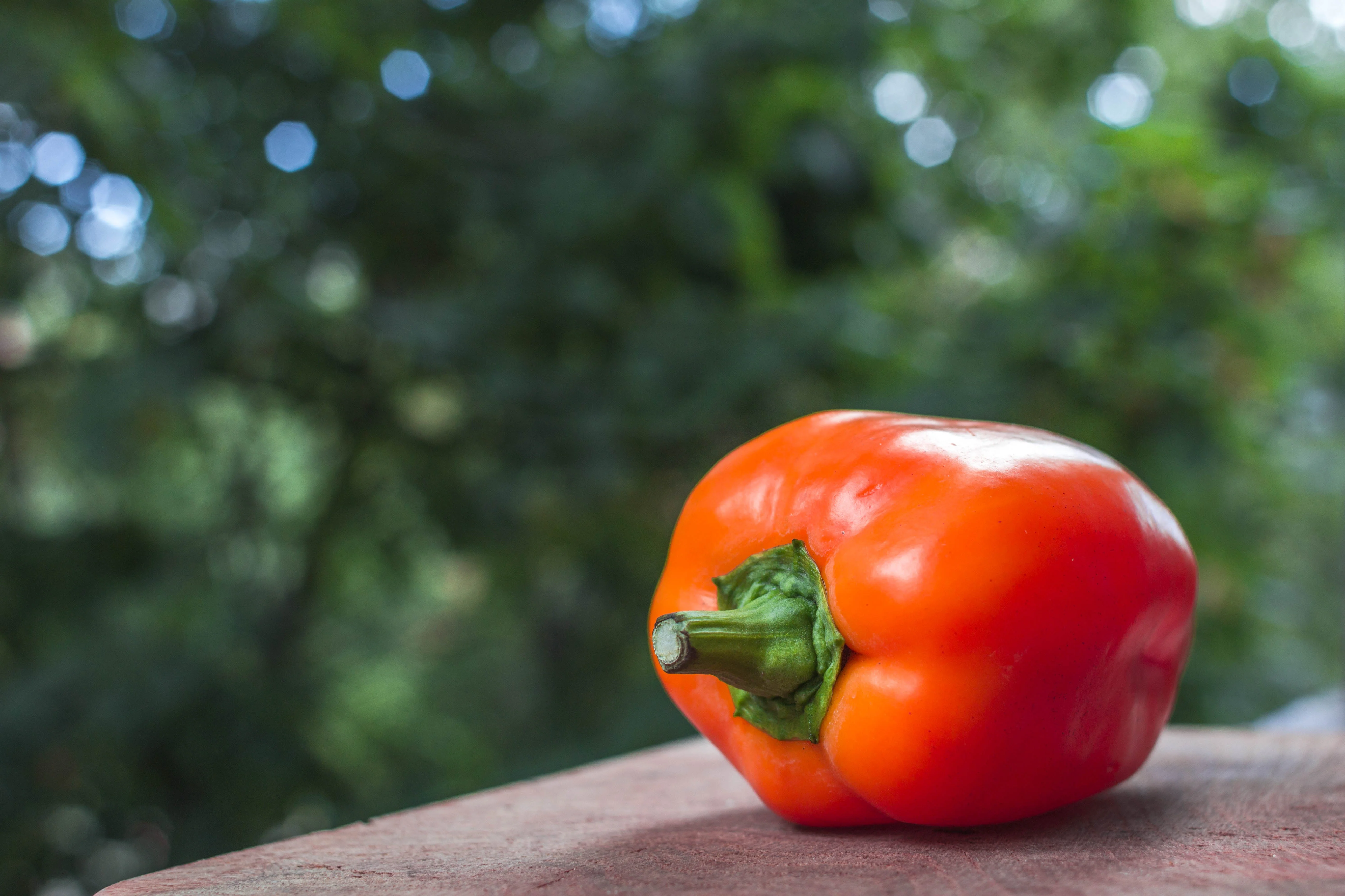 50 ORANGE Sun BELL PEPPER Sweet Capsicum Vegetable Seeds - Image 6