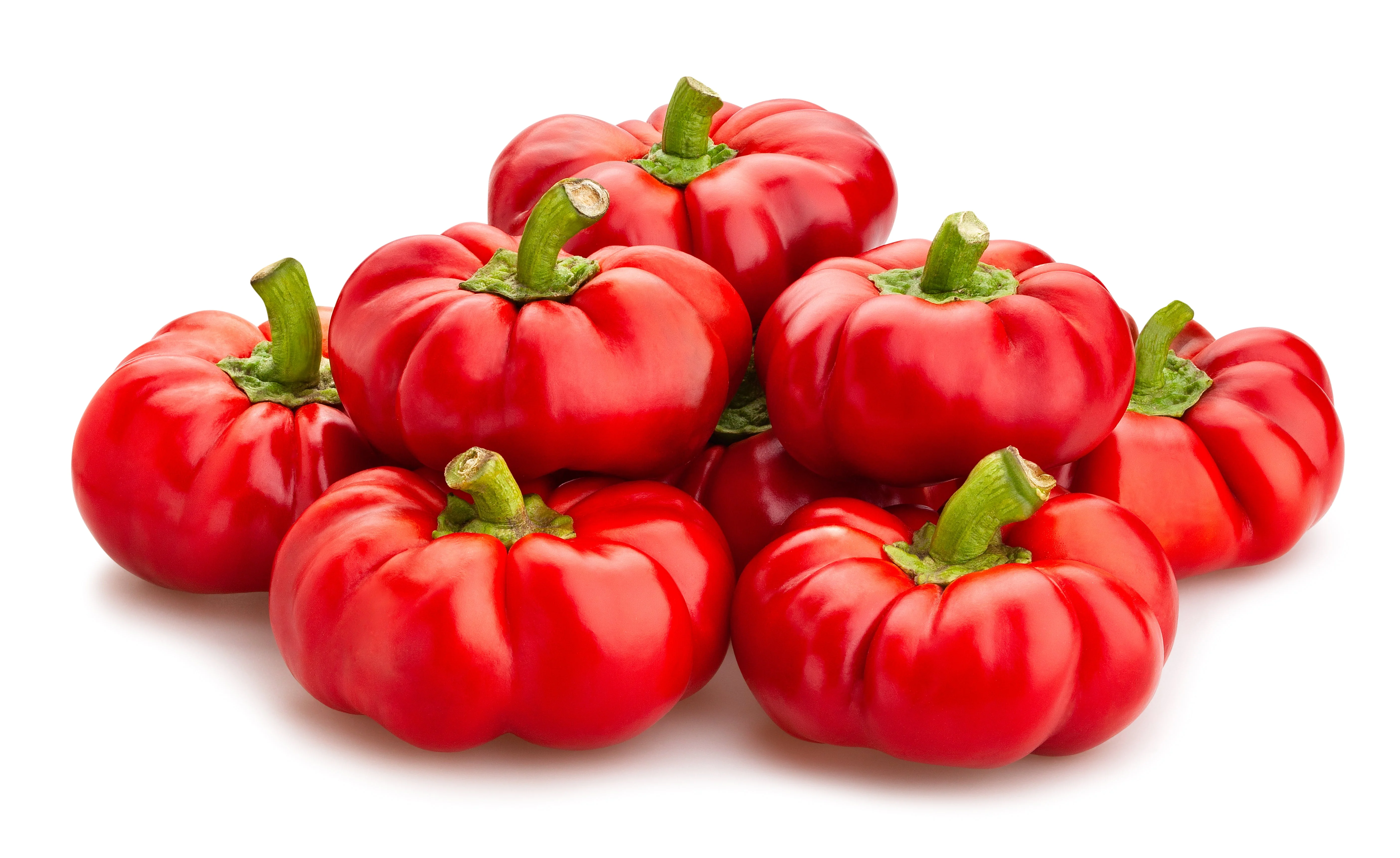 50 Organic SHEEPNOSE PIMENTO PEPPER Sweet Red Pimiento Cheese Capsicum Annuum Seeds - Image 2