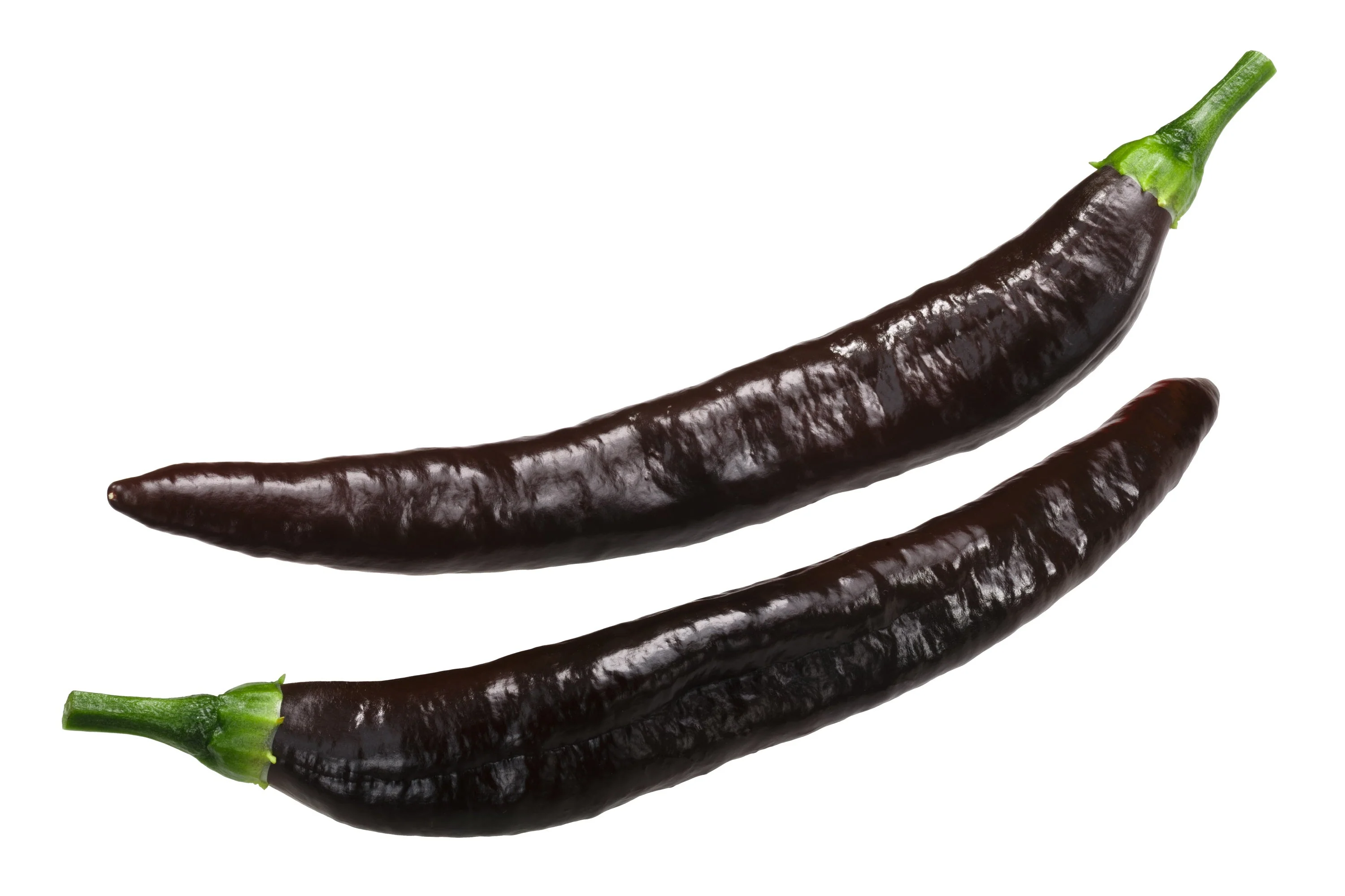 50 PASILLA BAJIO PEPPER Mexican Chile Negro Capsicum Annuum Vegetable Seeds - Image 5
