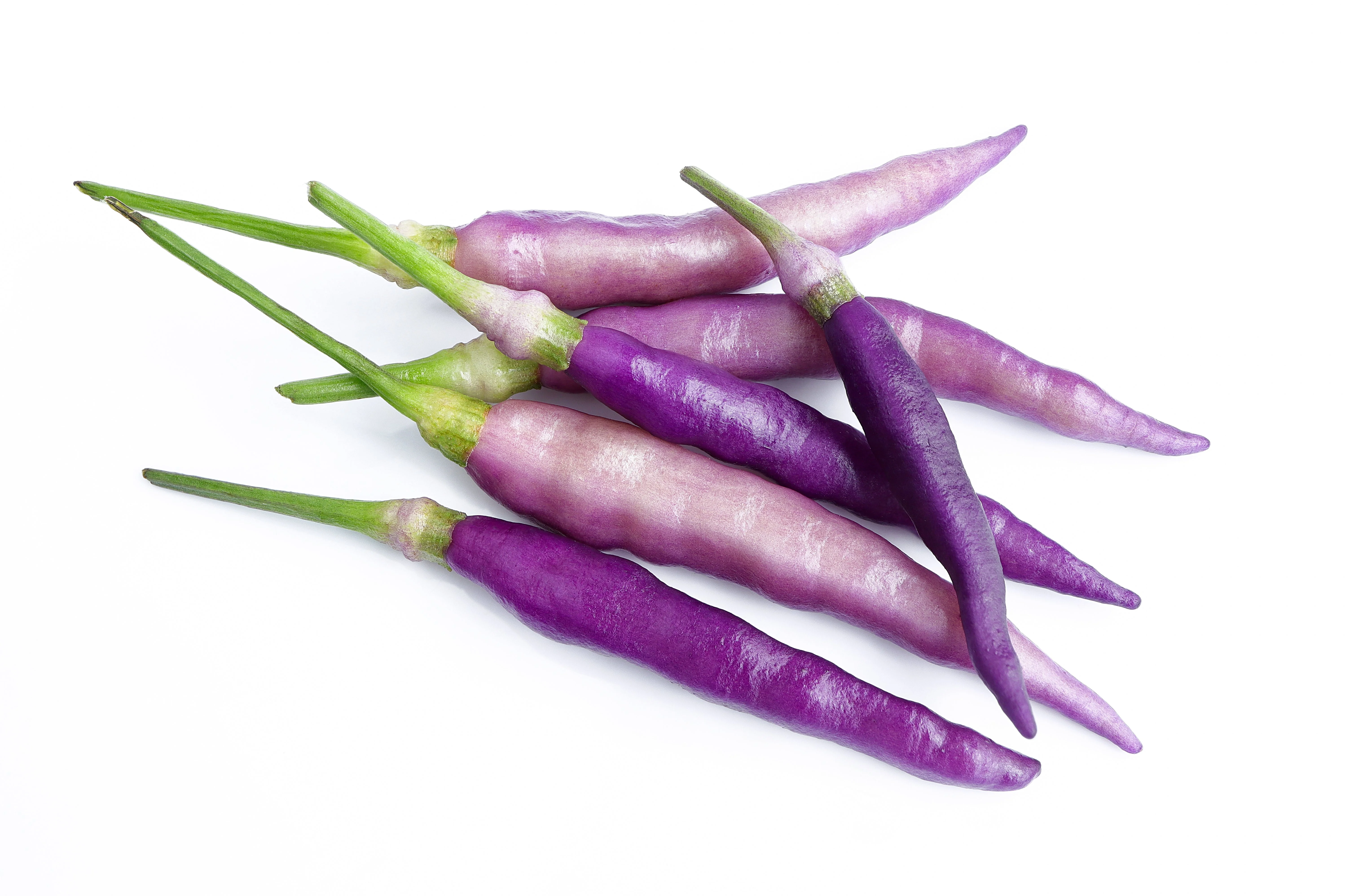 50 PURPLE CAYENNE PEPPER Capsicum Annuum Vegetable Seeds - Image 2