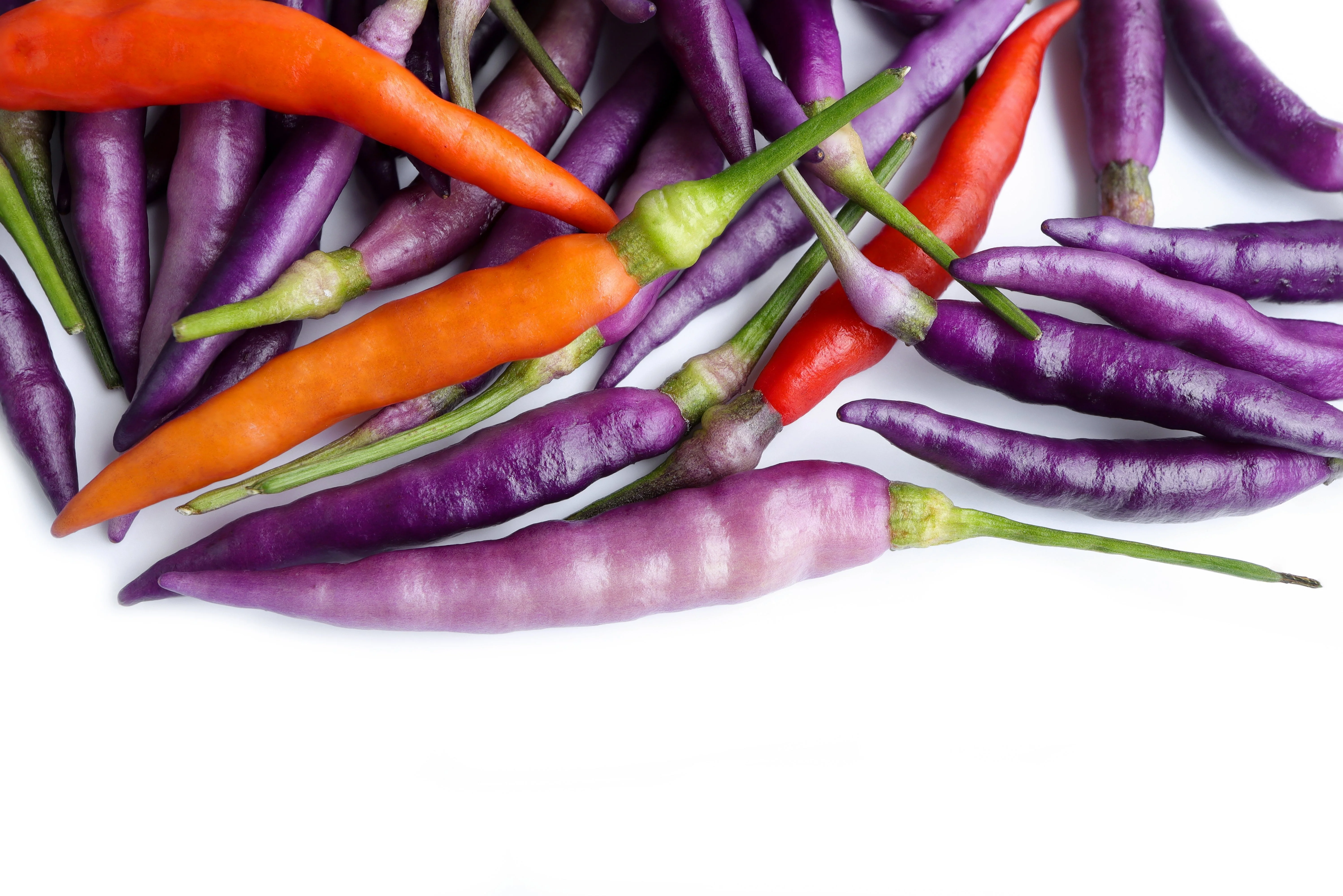 50 PURPLE CAYENNE PEPPER Capsicum Annuum Vegetable Seeds - Image 4