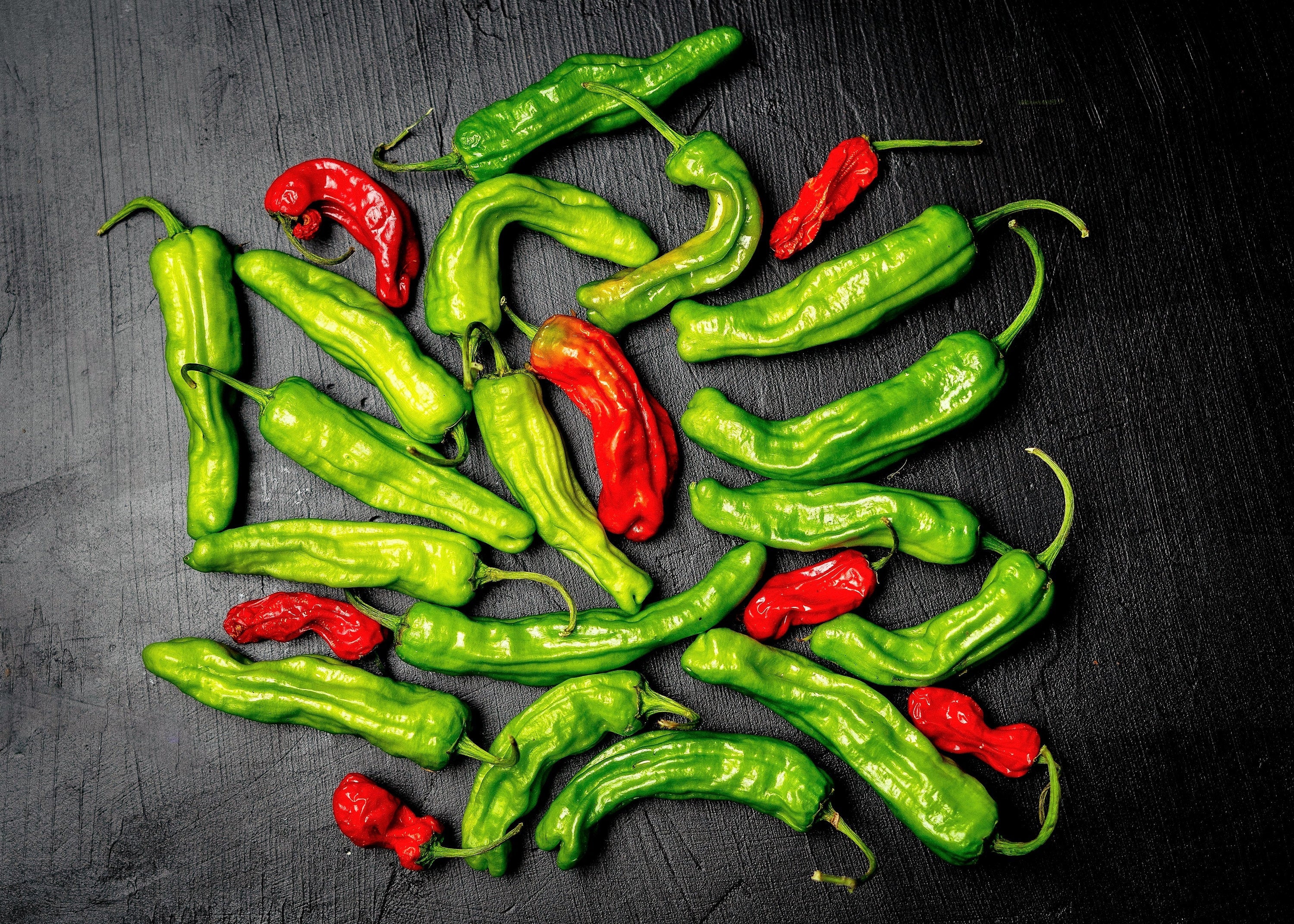 50 SHISHITO PEPPER Green to Red Mild Japanese Chili Capsicum Annuum Vegetable Seeds - Image 6