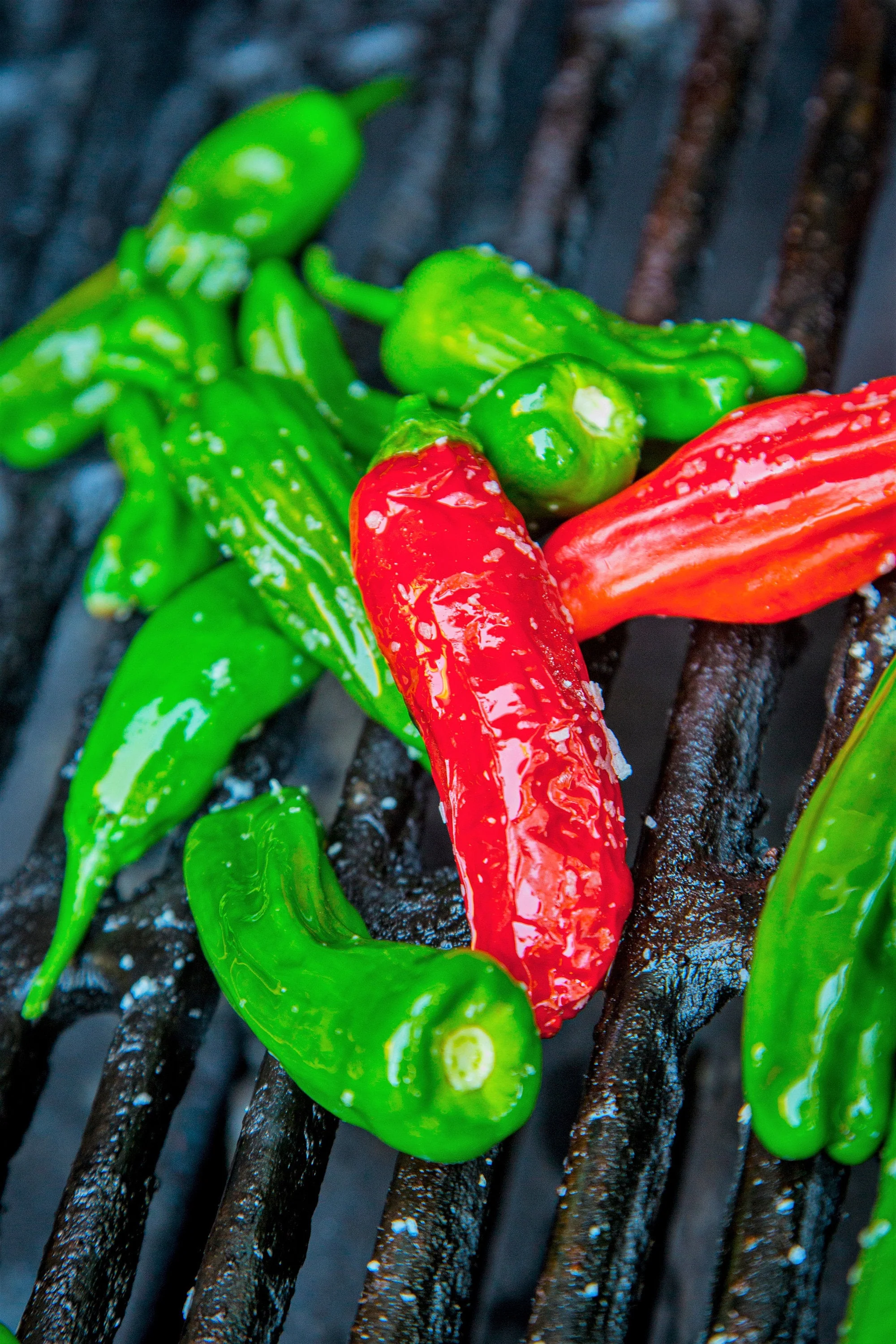 50 SHISHITO PEPPER Green to Red Mild Japanese Chili Capsicum Annuum Vegetable Seeds - Image 9