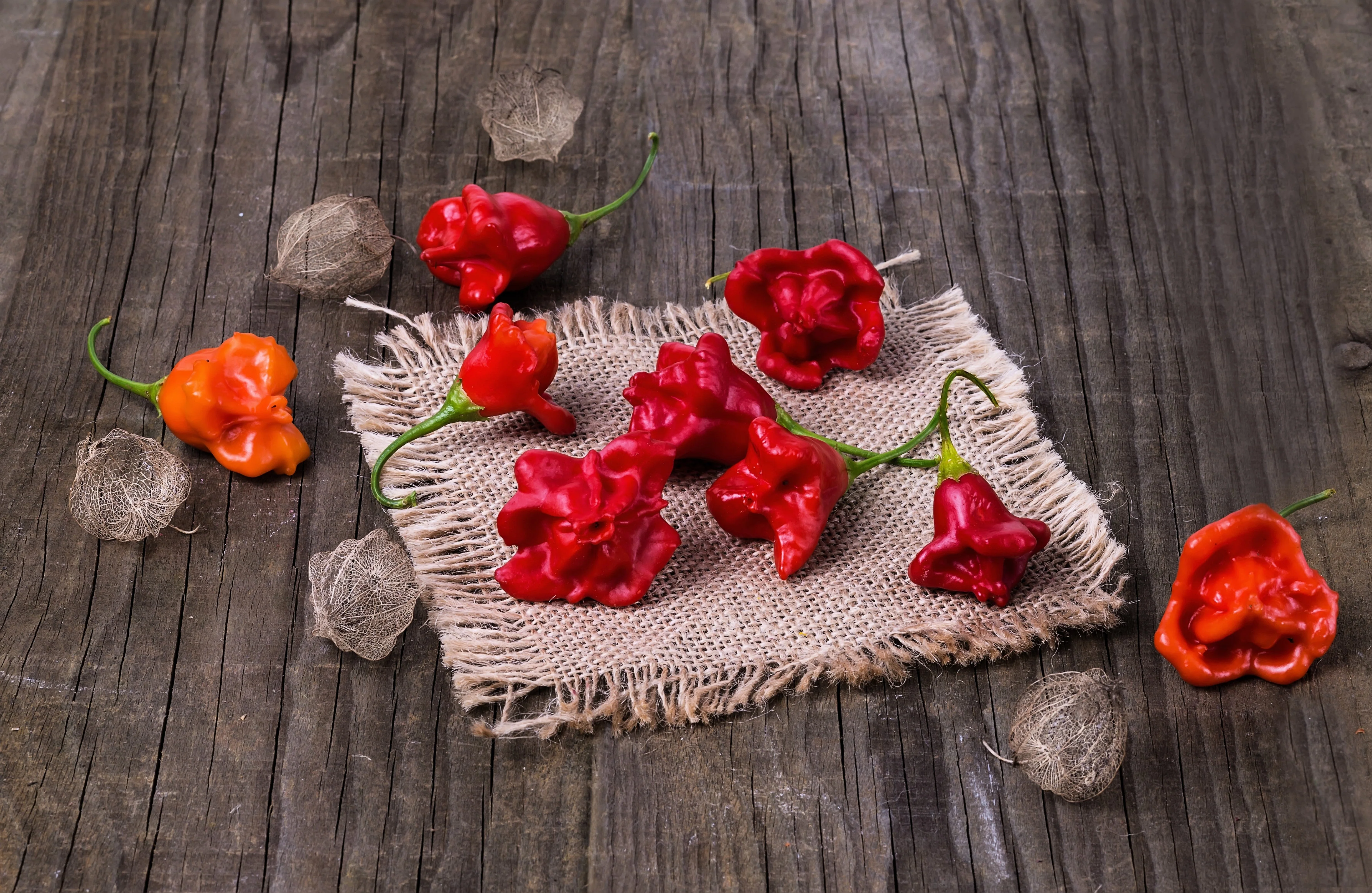 50 Ubatuba CAMBUCI PEPPER Red Brazilian Capsicum Baccatum Vegetable Seeds - Image 5