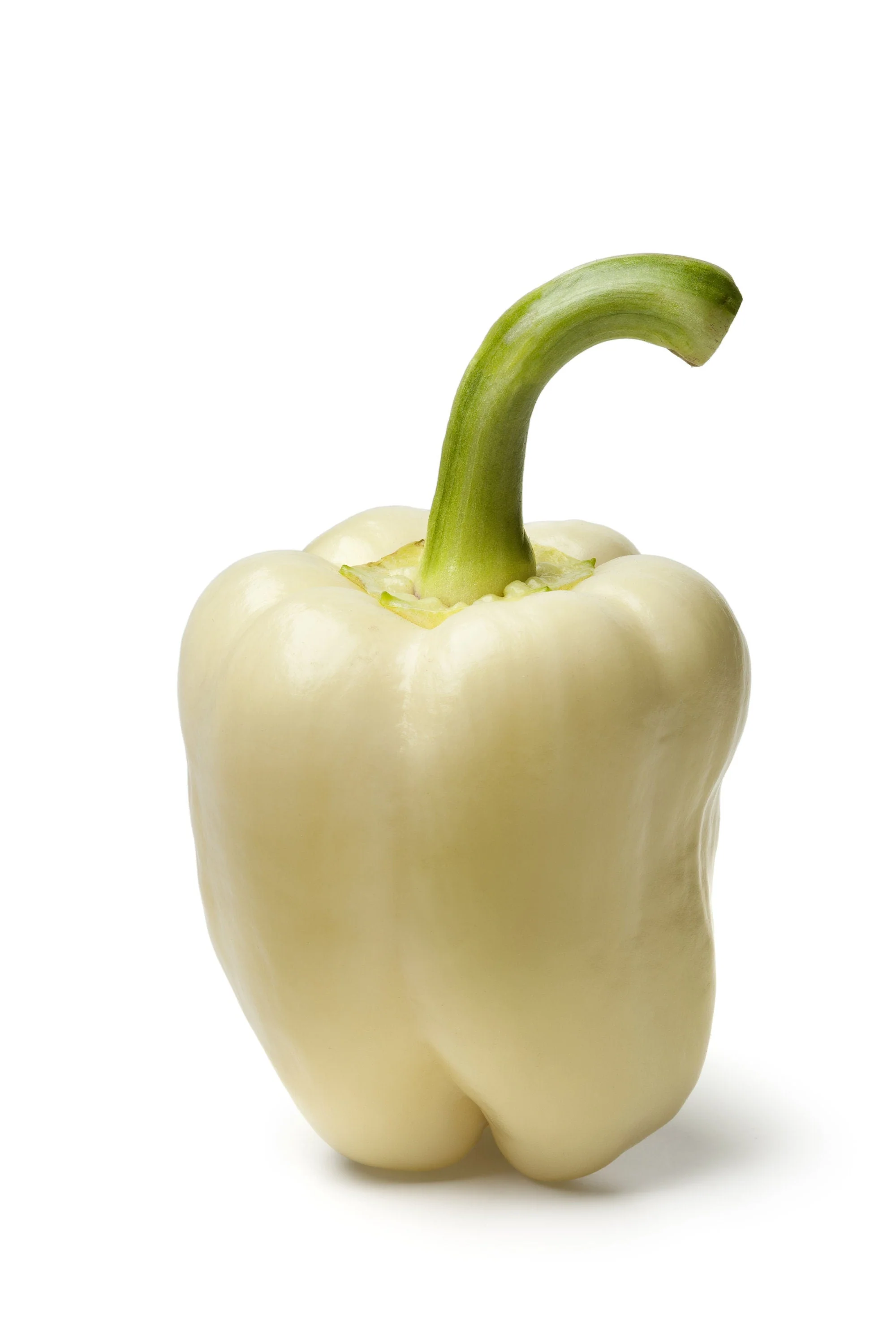50 WHITE CLOUD BELL PEPPER Sweet Mild Capsicum Annuum Vegetable Seeds - Image 3