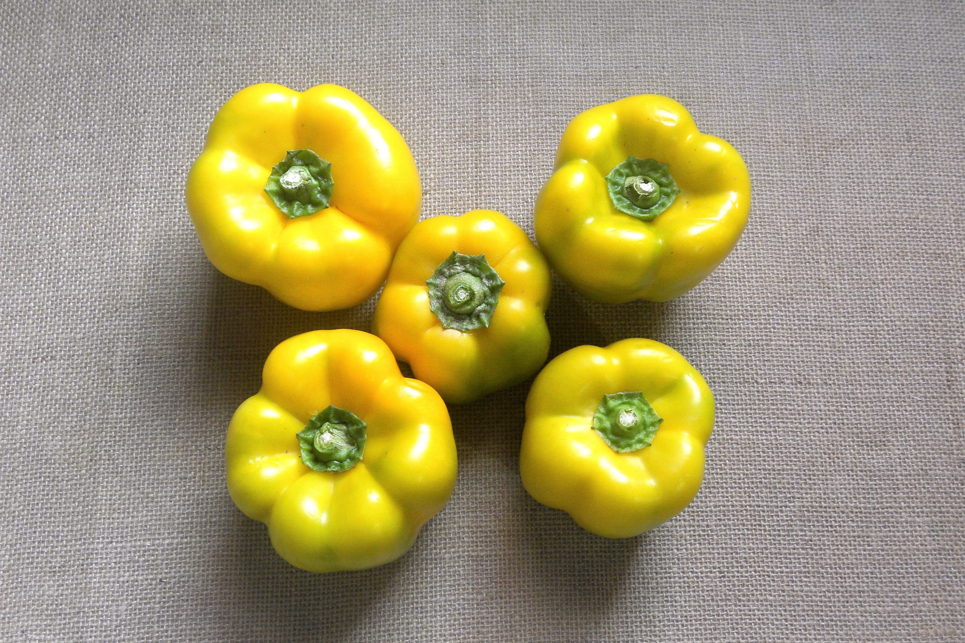 50 YELLOW Cheese PIMENTO PEPPER Capsicum Annuum Vegetable Seeds - Image 4