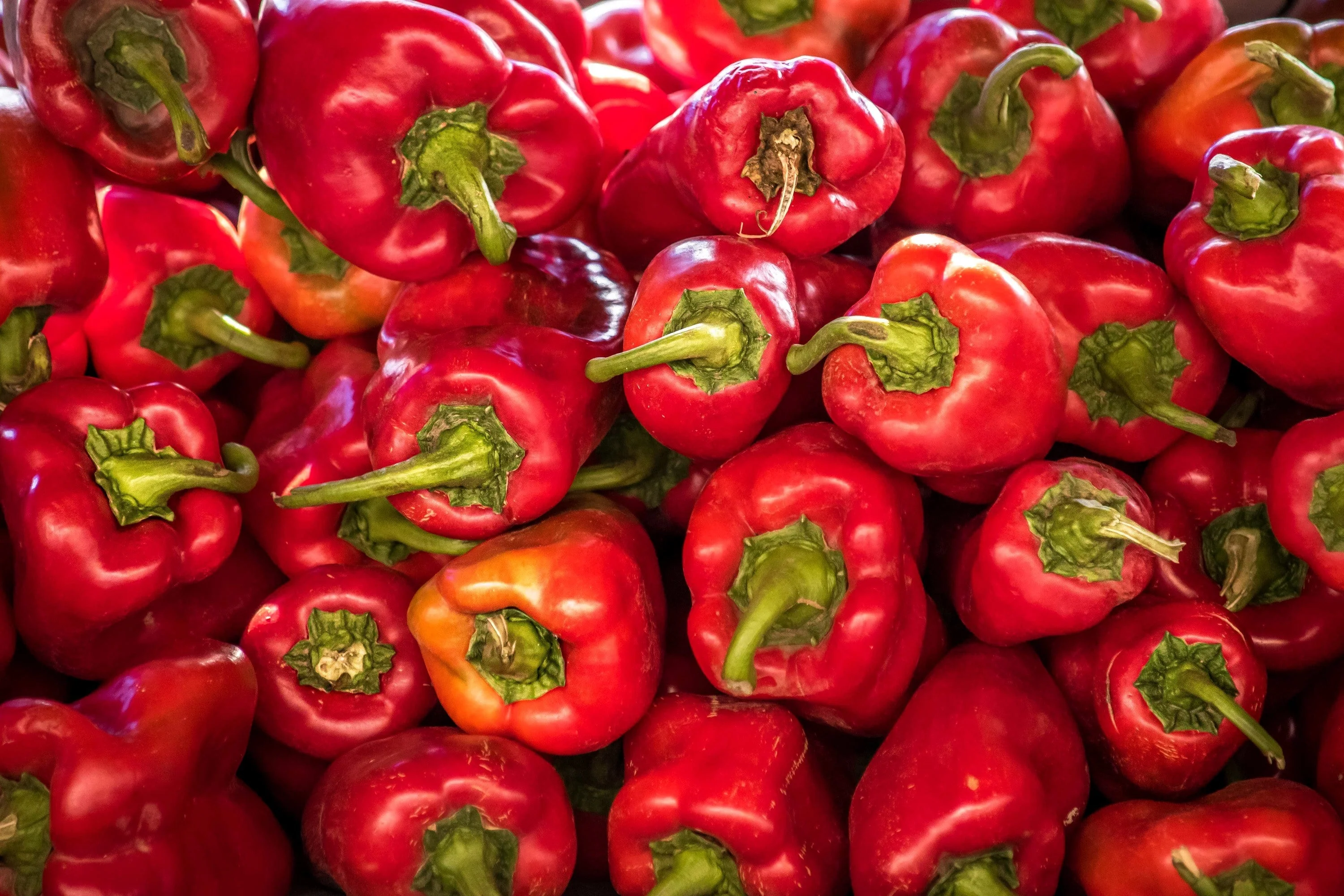 60 RED MARCONI PEPPER Rossa Large Sweet Italian Frying Capsicum Annuum Seeds - Image 2
