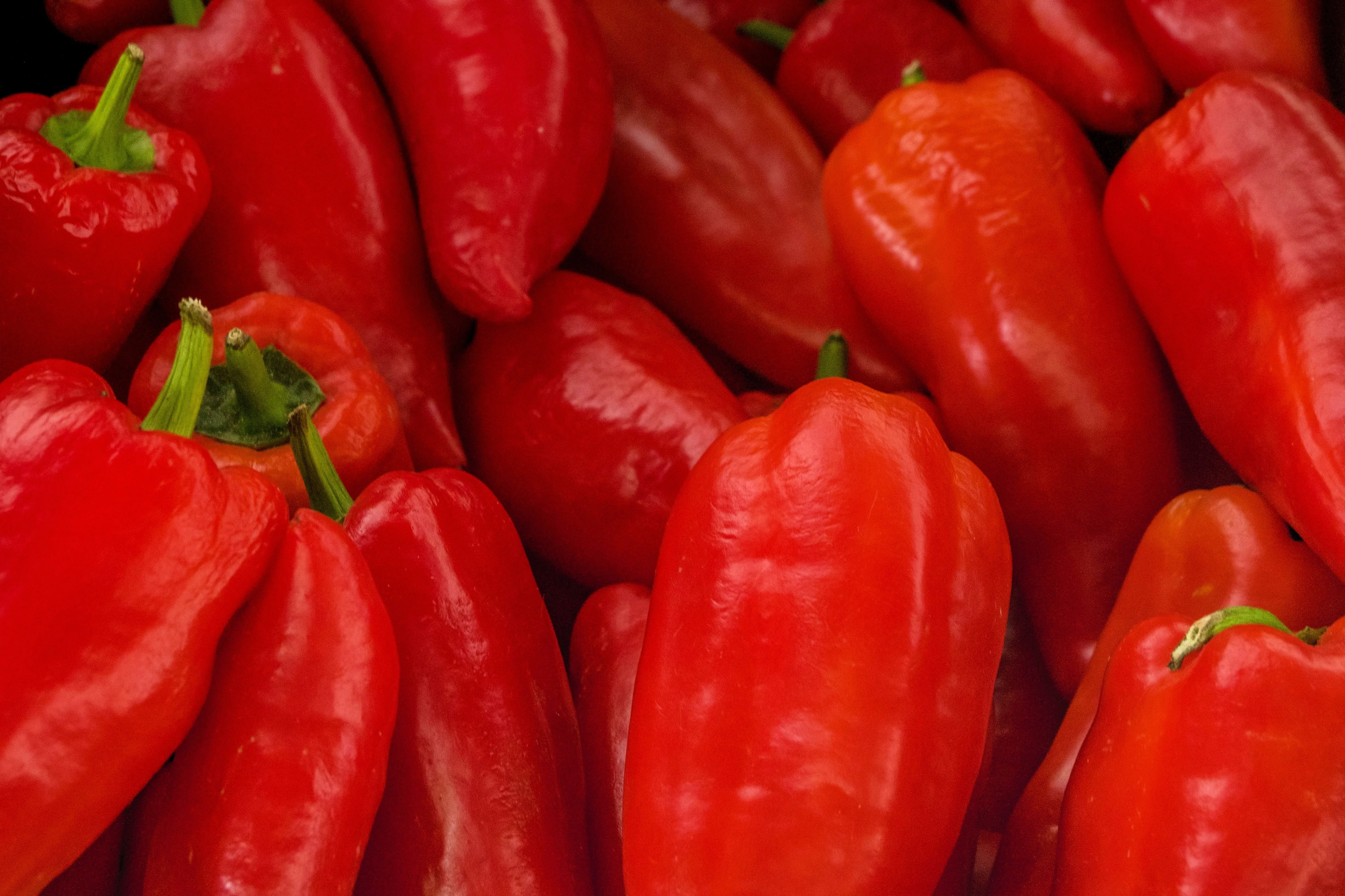 60 RED MARCONI PEPPER Rossa Large Sweet Italian Frying Capsicum Annuum Seeds - Image 5