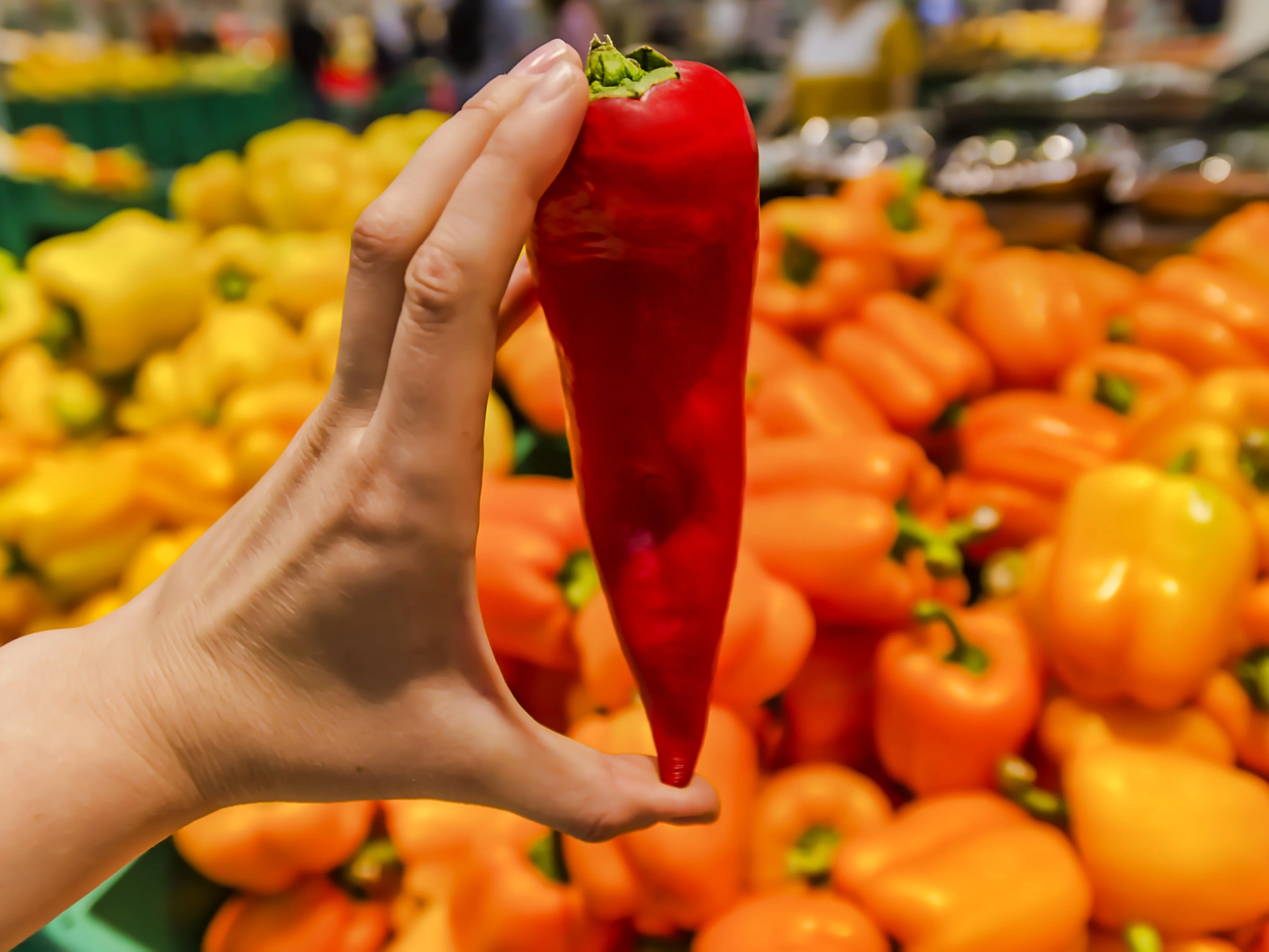 60 RED MARCONI PEPPER Rossa Large Sweet Italian Frying Capsicum Annuum Seeds - Image 8