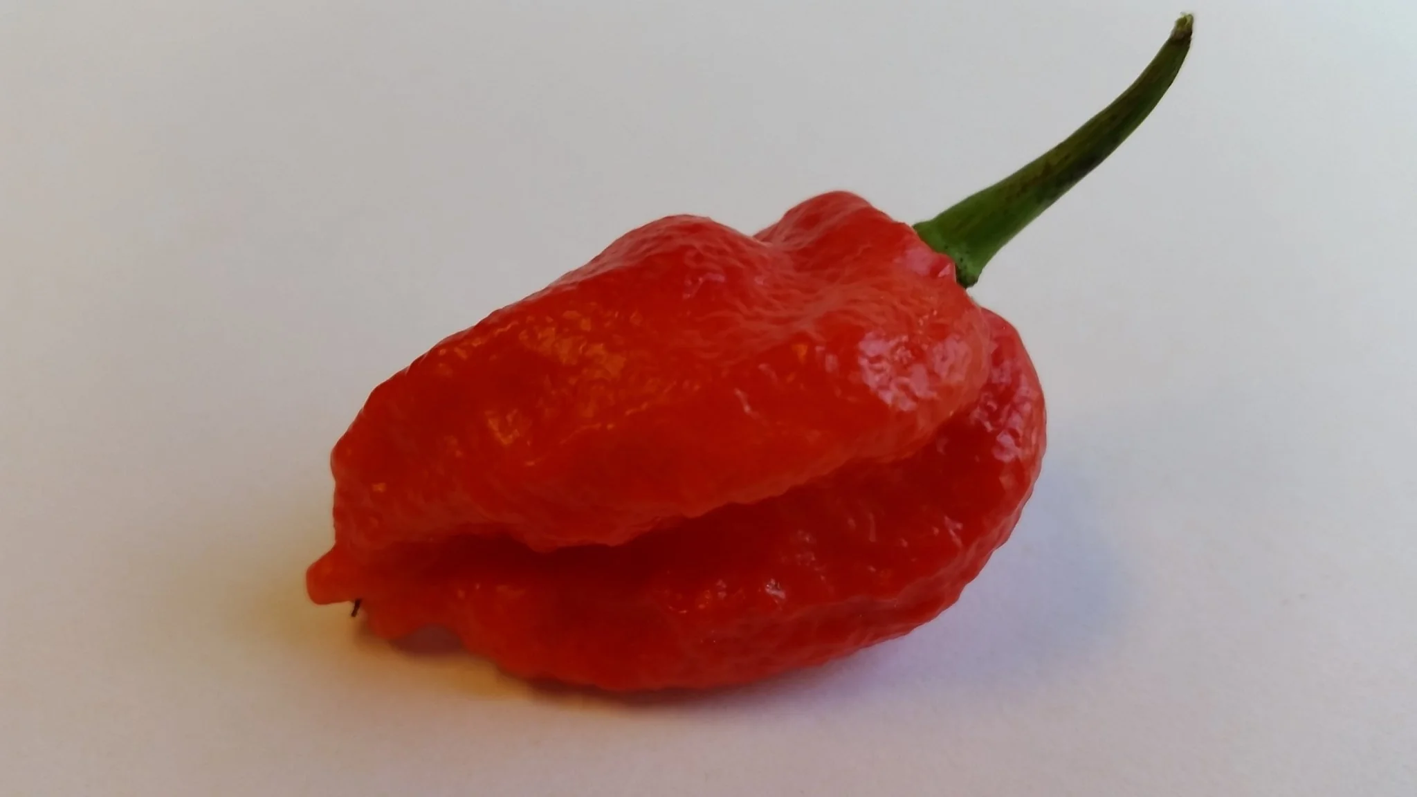 7 Pot Bhutlah Bubblegum Red - Seeds - Image 2