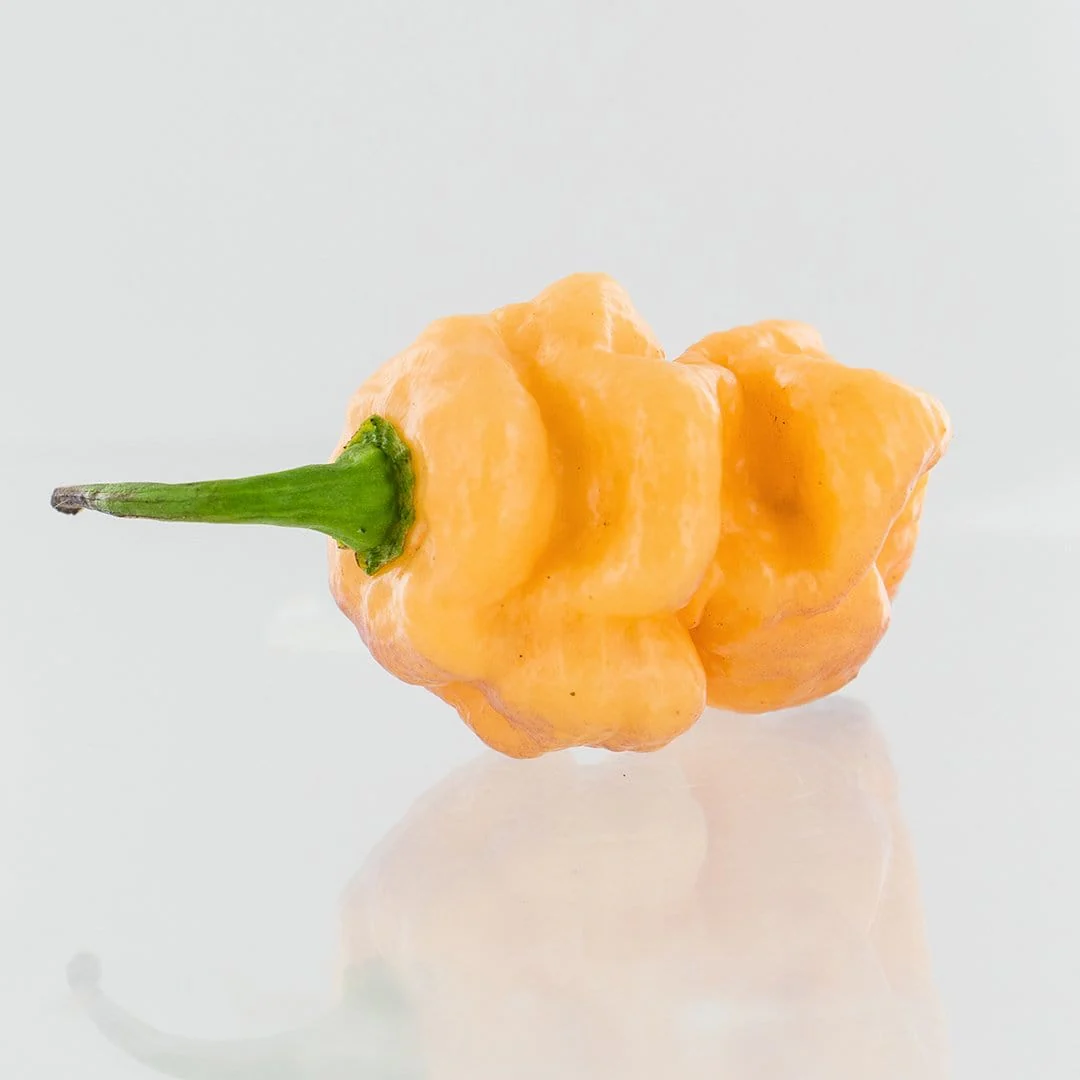 7-Pot BubbleGum x Drax Diego Dream Pepper Seeds - Image 2