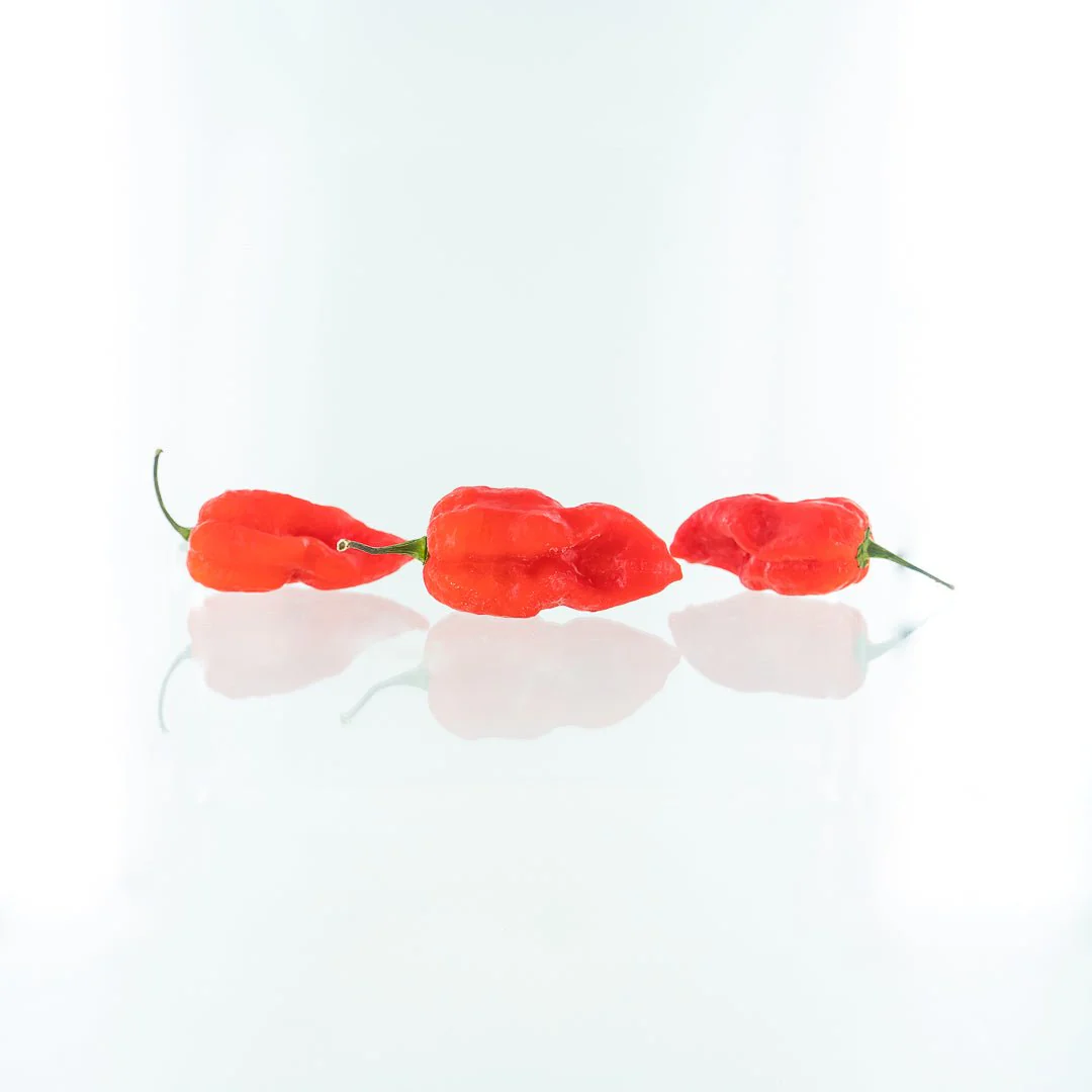 7 Pot Katie Pepper Seeds (Non-Isolated) - Image 2