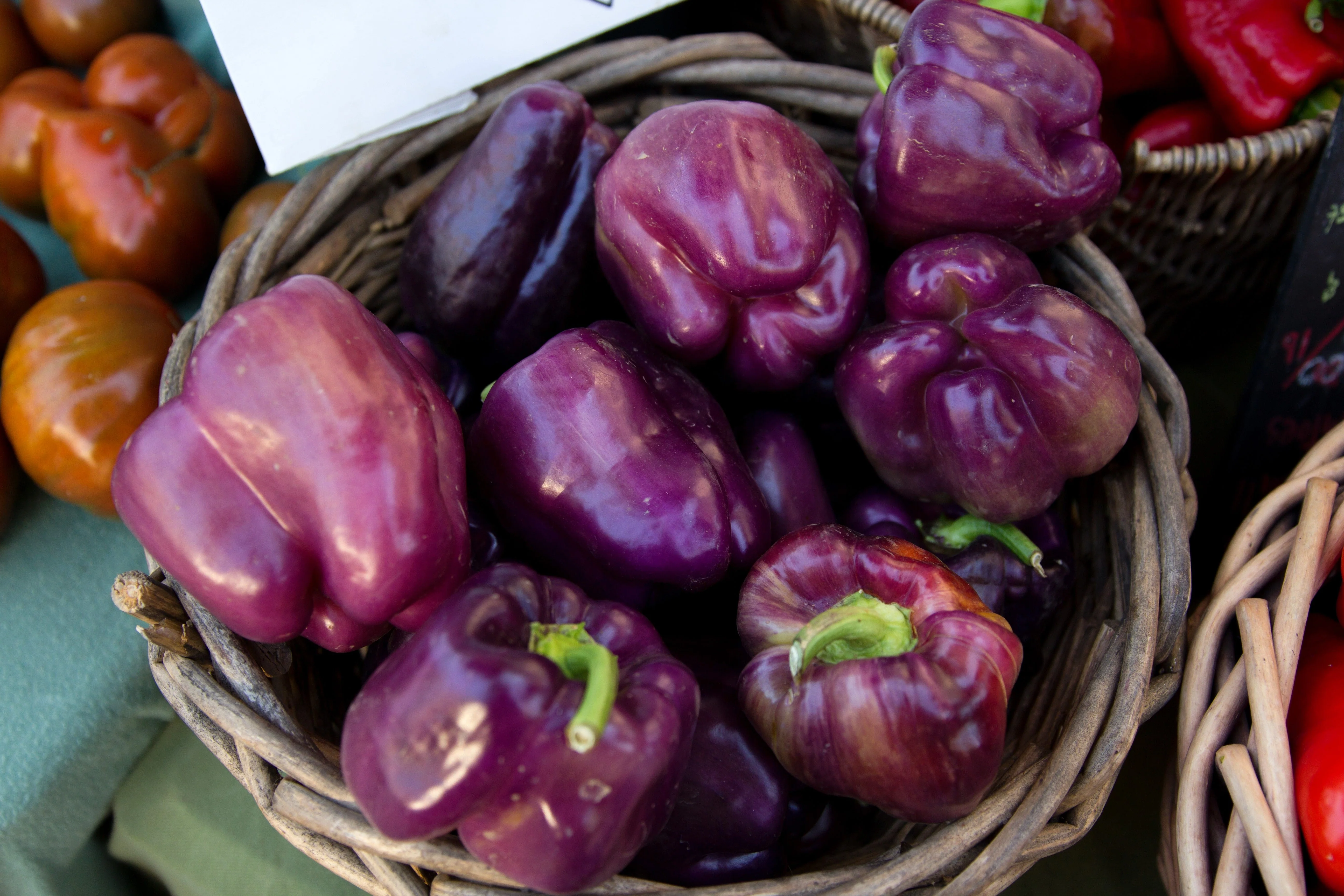 75 PURPLE BEAUTY PEPPER ( Sweet Mild Bell ) Capsicum Annuum Vegetable Seeds - Image 5
