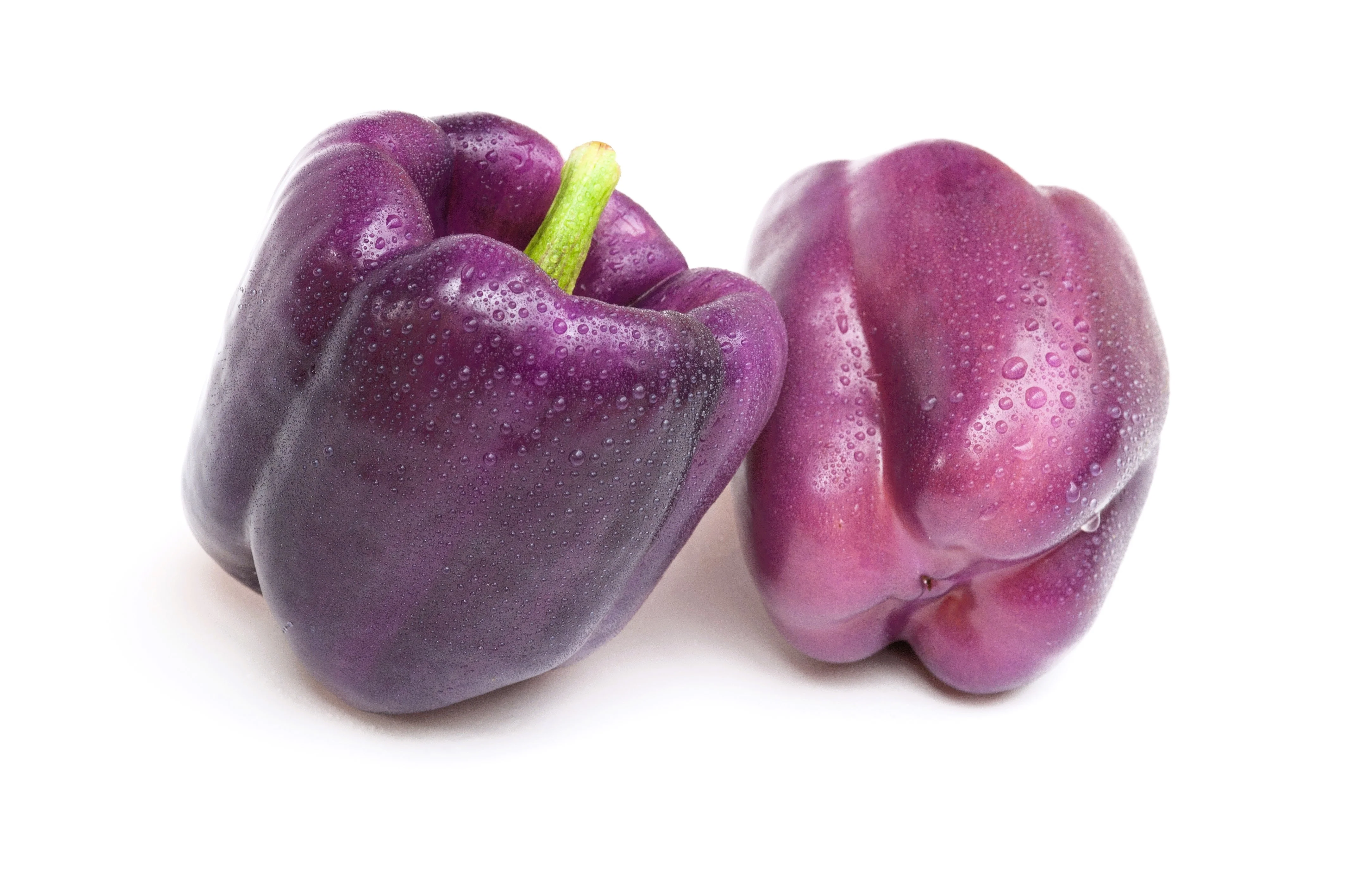 75 PURPLE BEAUTY PEPPER ( Sweet Mild Bell ) Capsicum Annuum Vegetable Seeds - Image 7