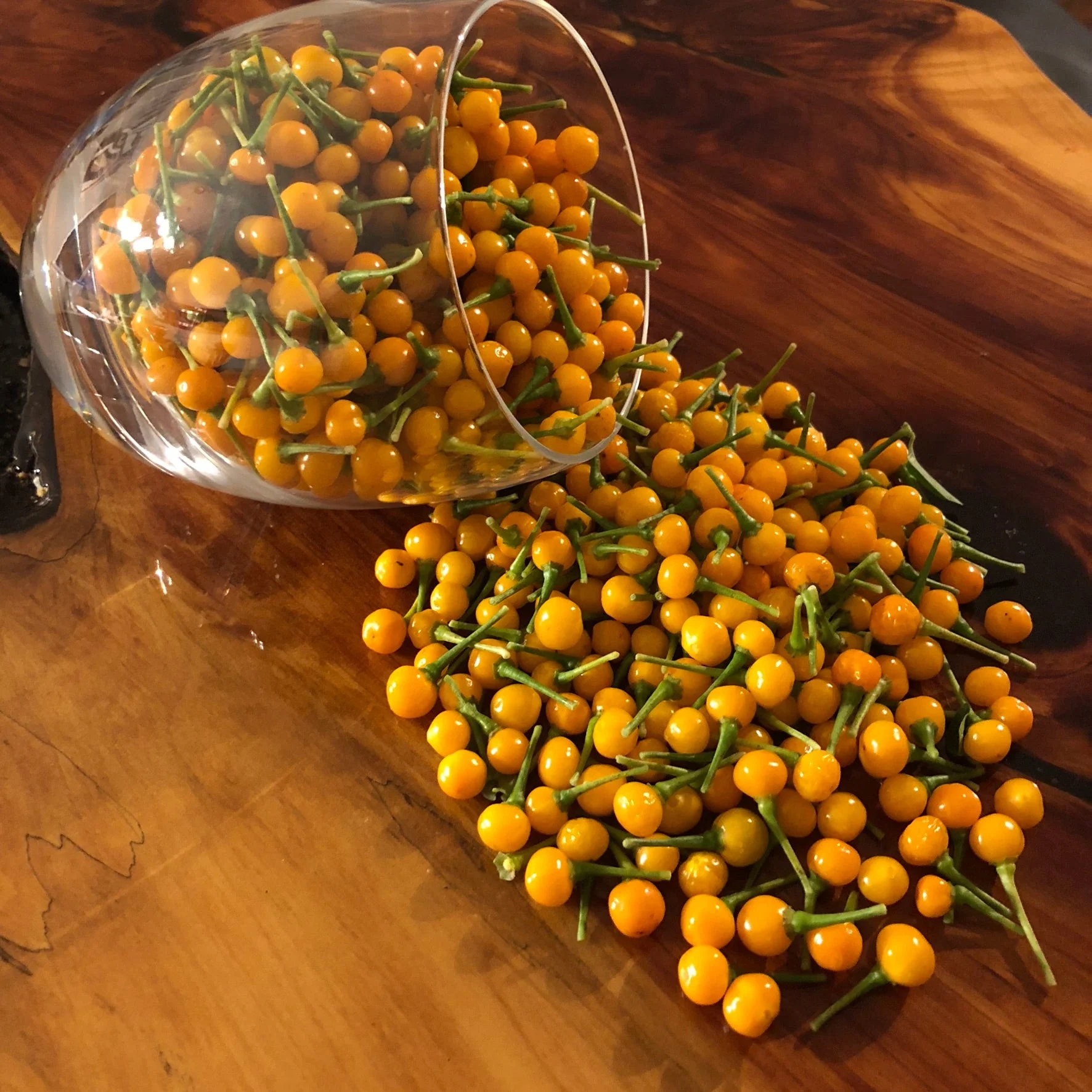Aji Charapita - Seeds - Image 6