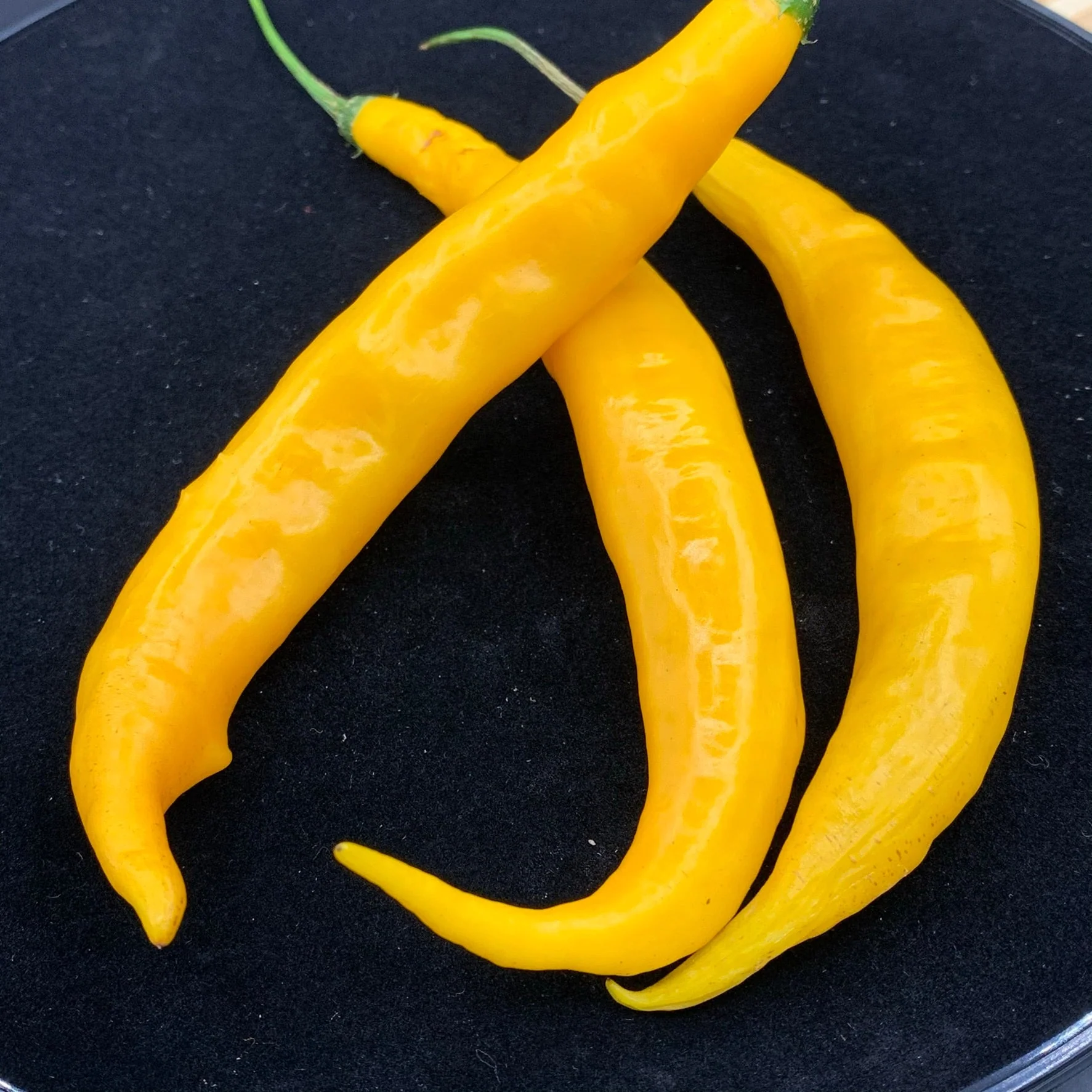 Aji Guyana - Seeds - Image 6