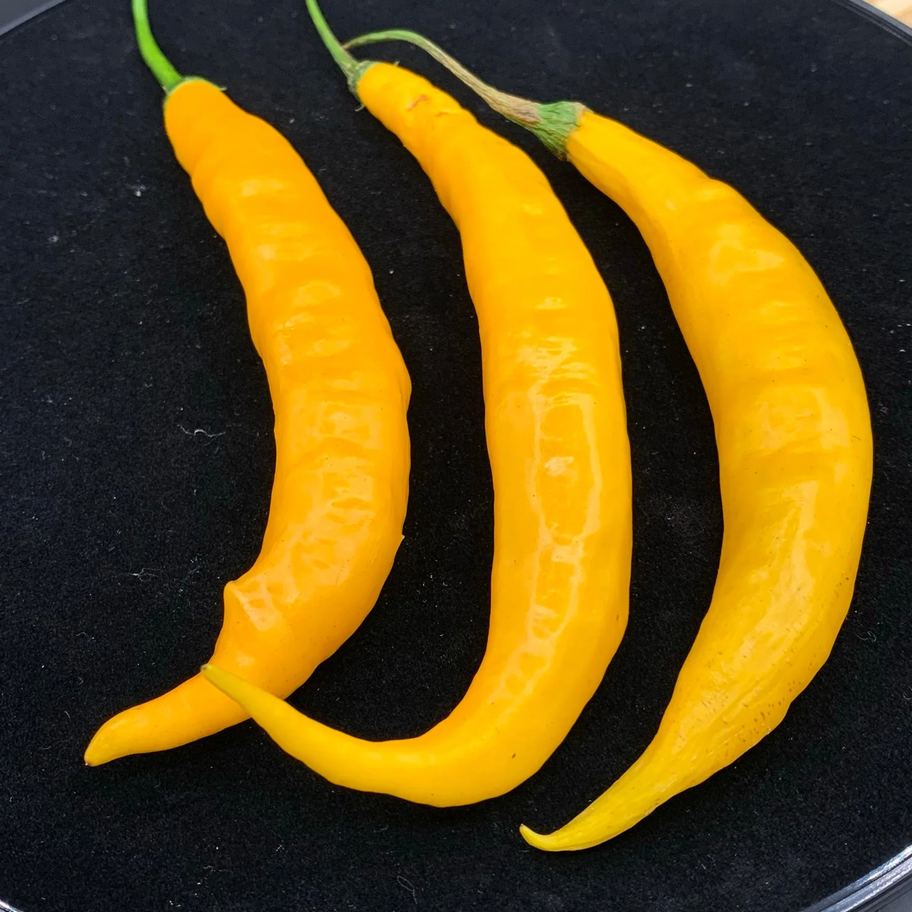 Aji Guyana - Seeds - Image 7