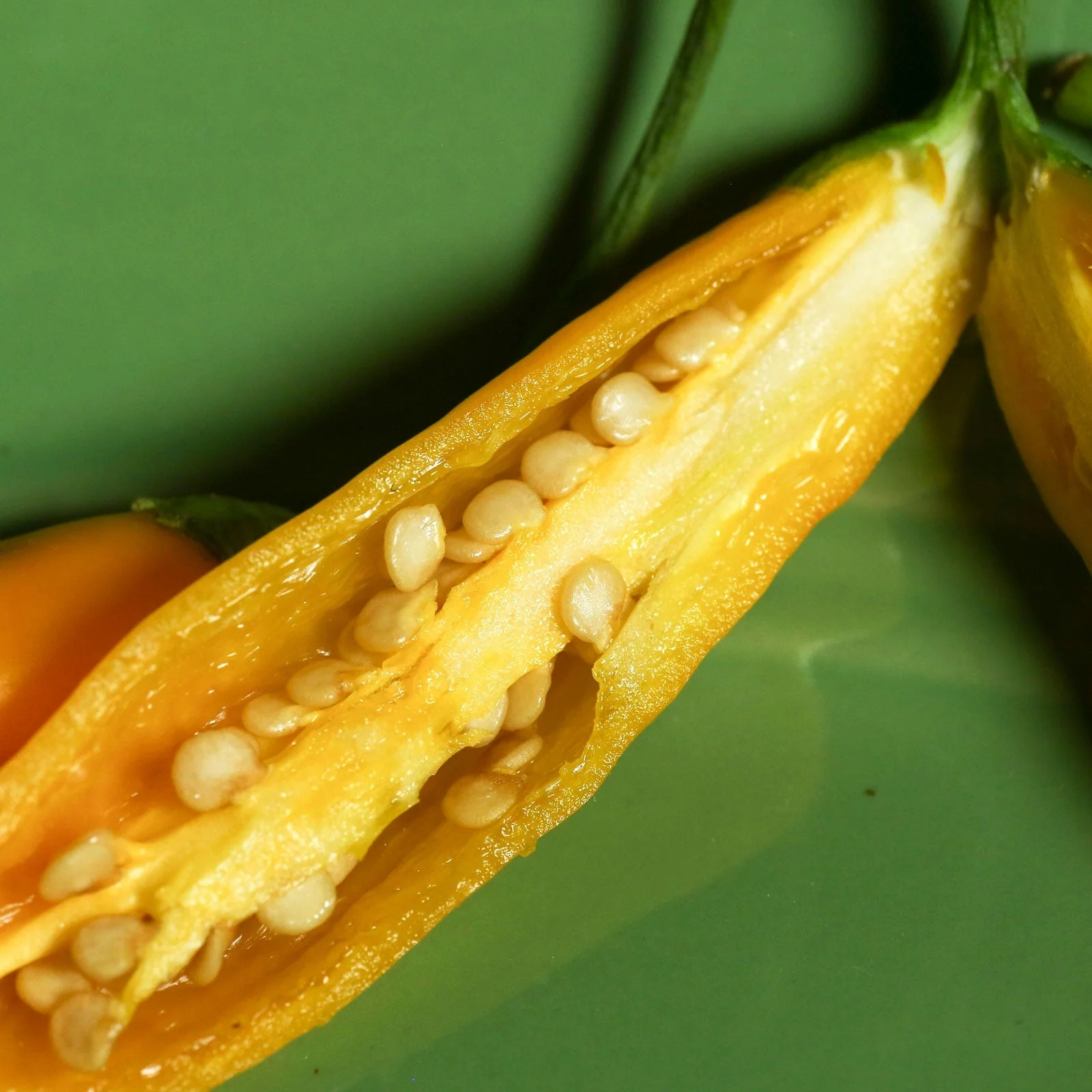 Aji Mango Pepper Seeds - Image 3