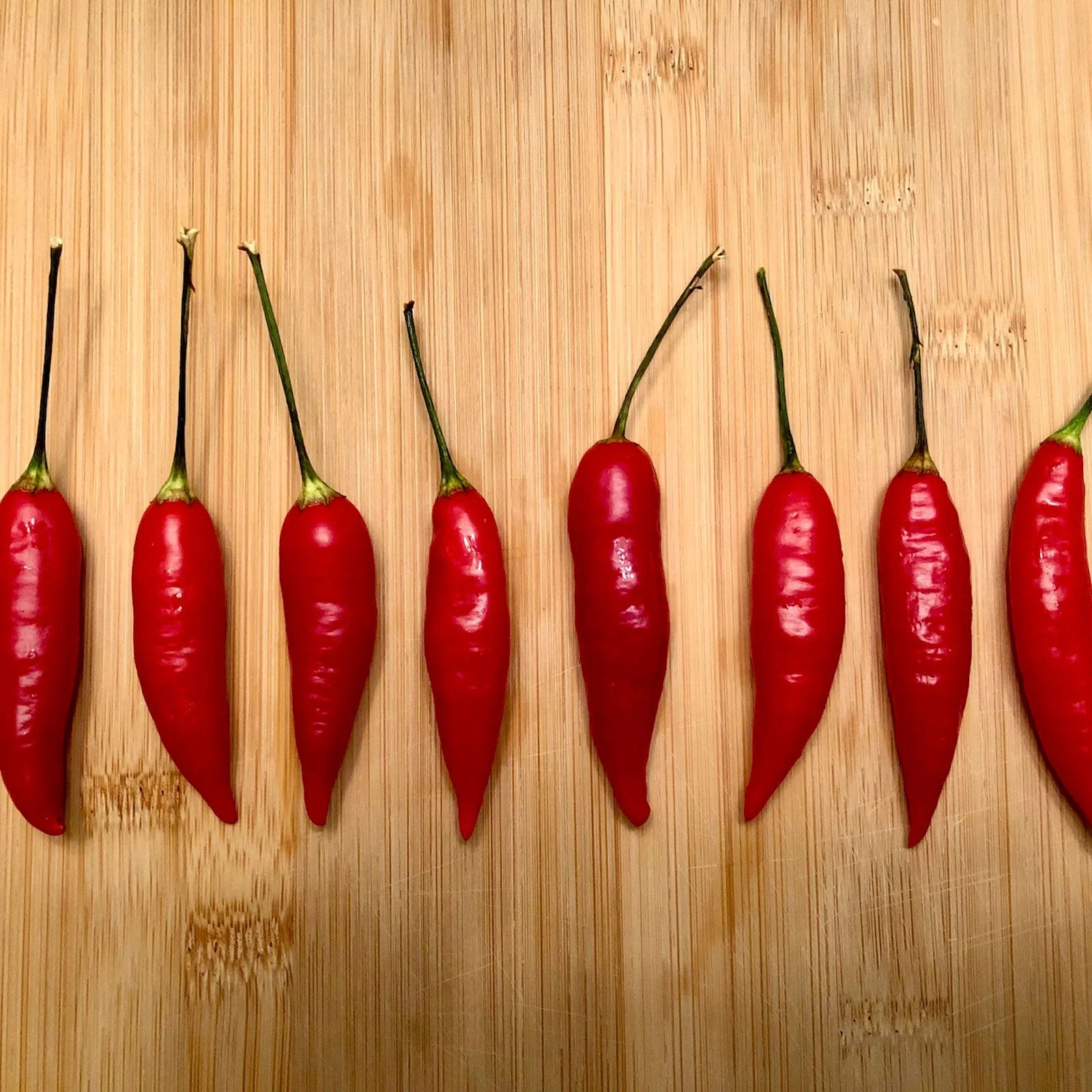 Aji Omnicolor Pepper Seeds - Image 3