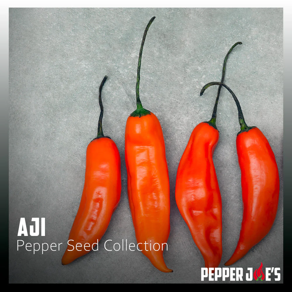 Aji Pepper Seed Collection - Image 2