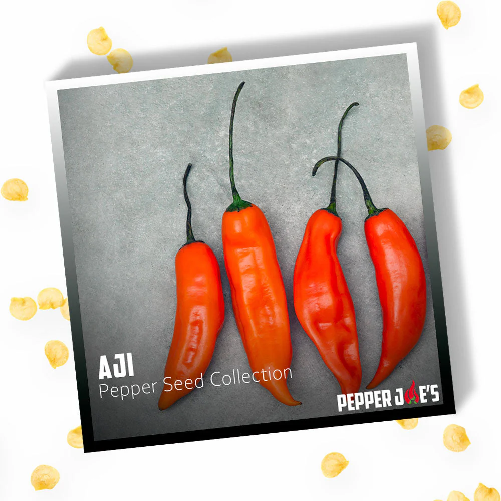 Aji Pepper Seed Collection - Image 3