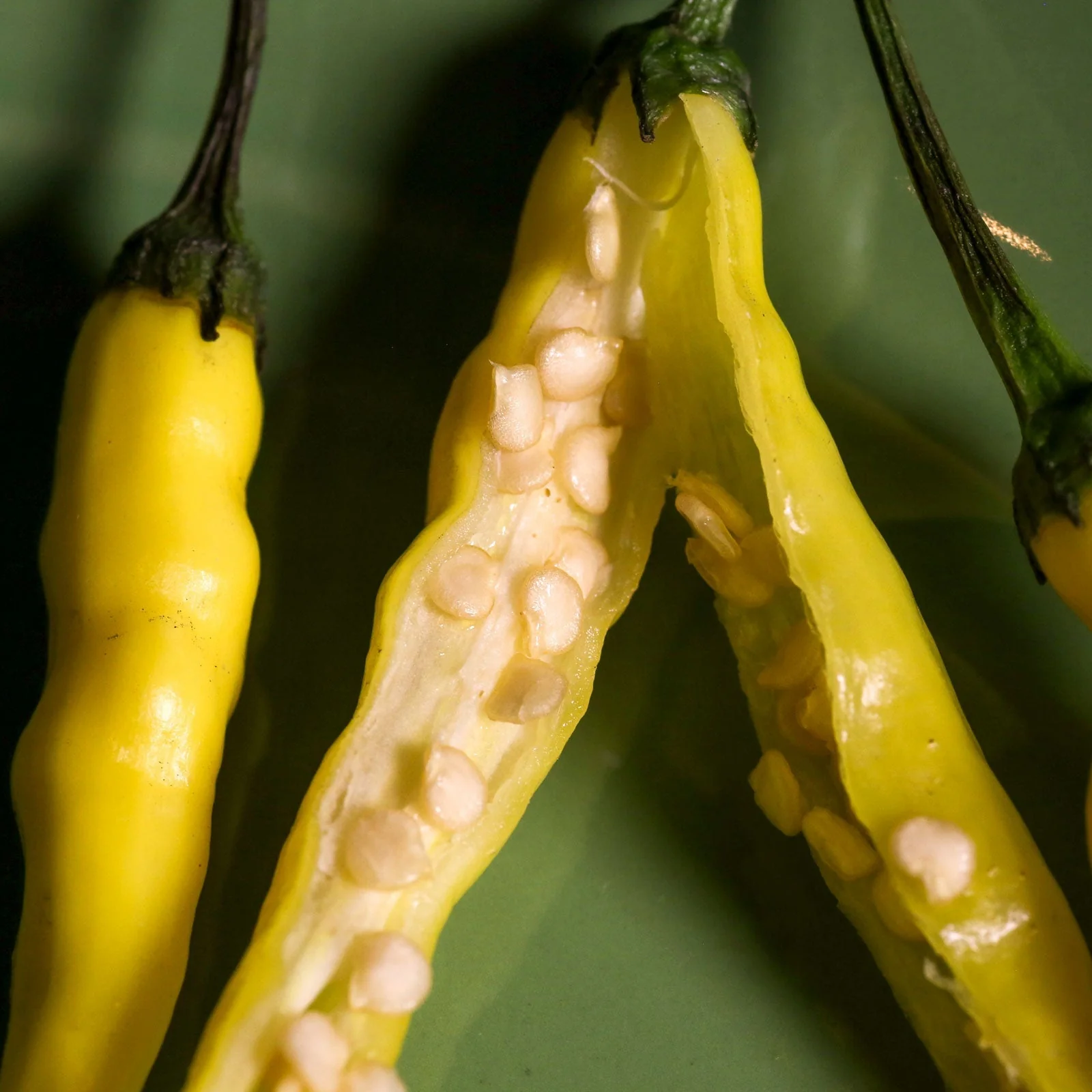 Aji Pineapple Pepper Seeds - Image 4