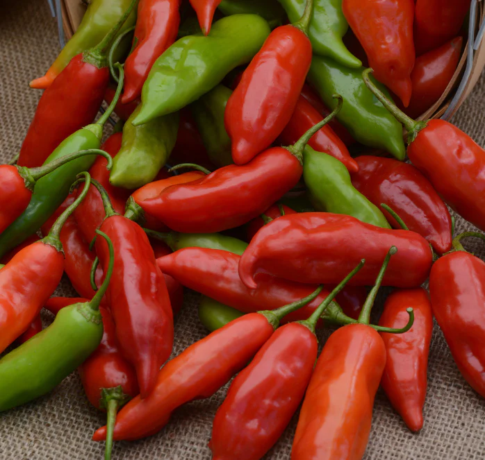 Aji Rico Hybrid Pepper Seeds - Image 2