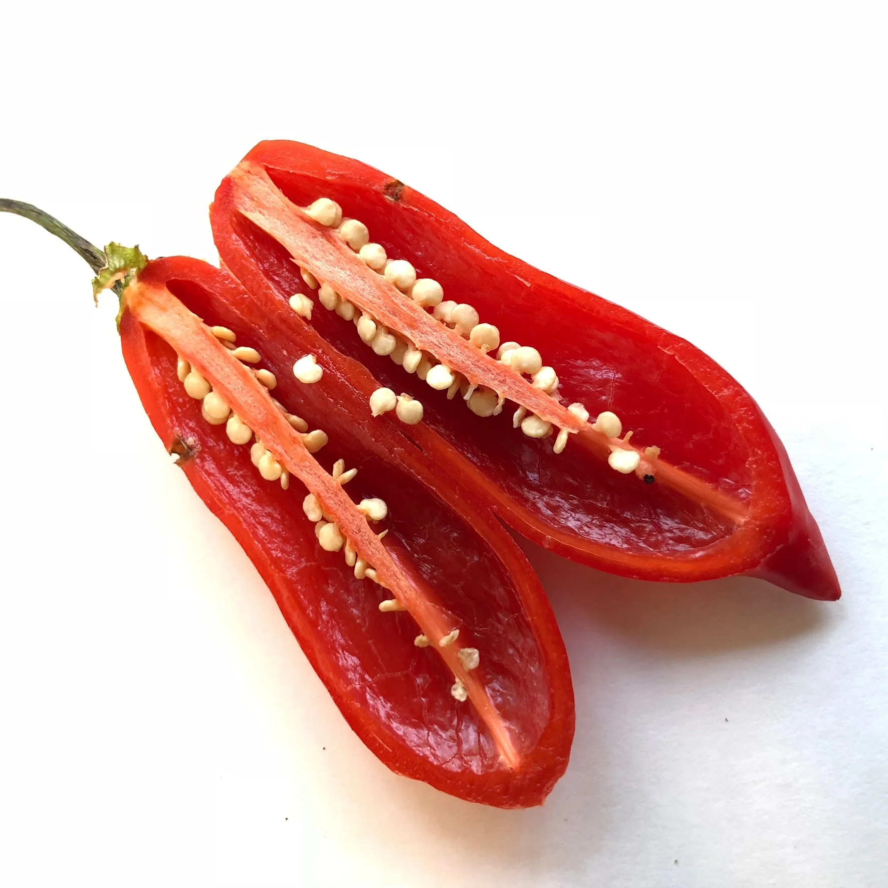 Aji Sugar Rush Red - Seeds - Image 4