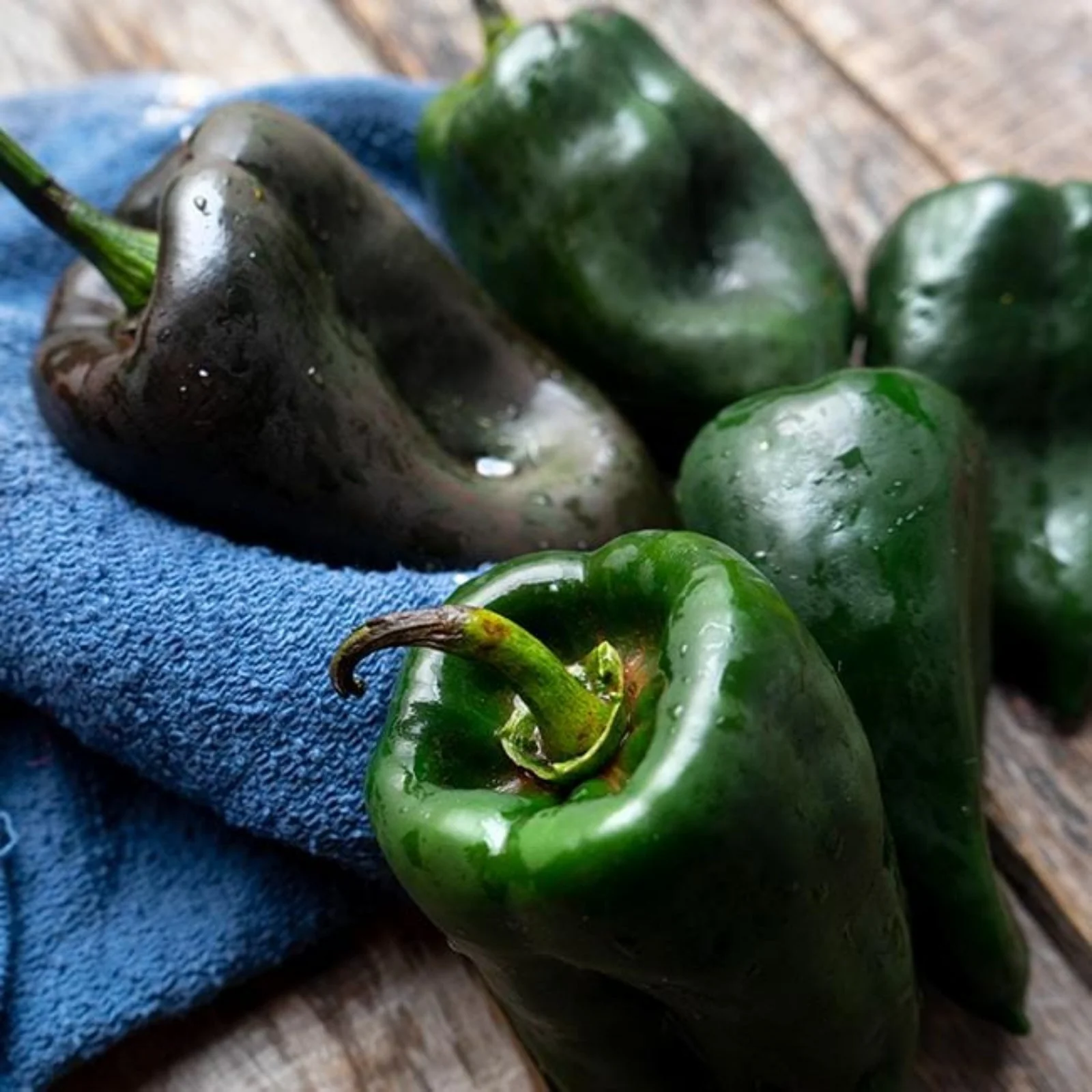 Ancho Poblano Pepper Seeds - Image 2