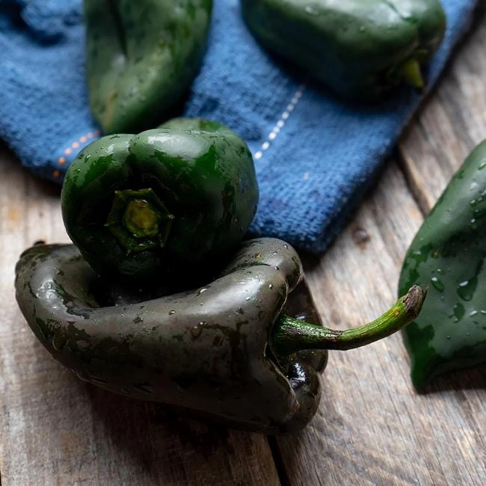 Ancho Poblano Pepper Seeds - Image 3