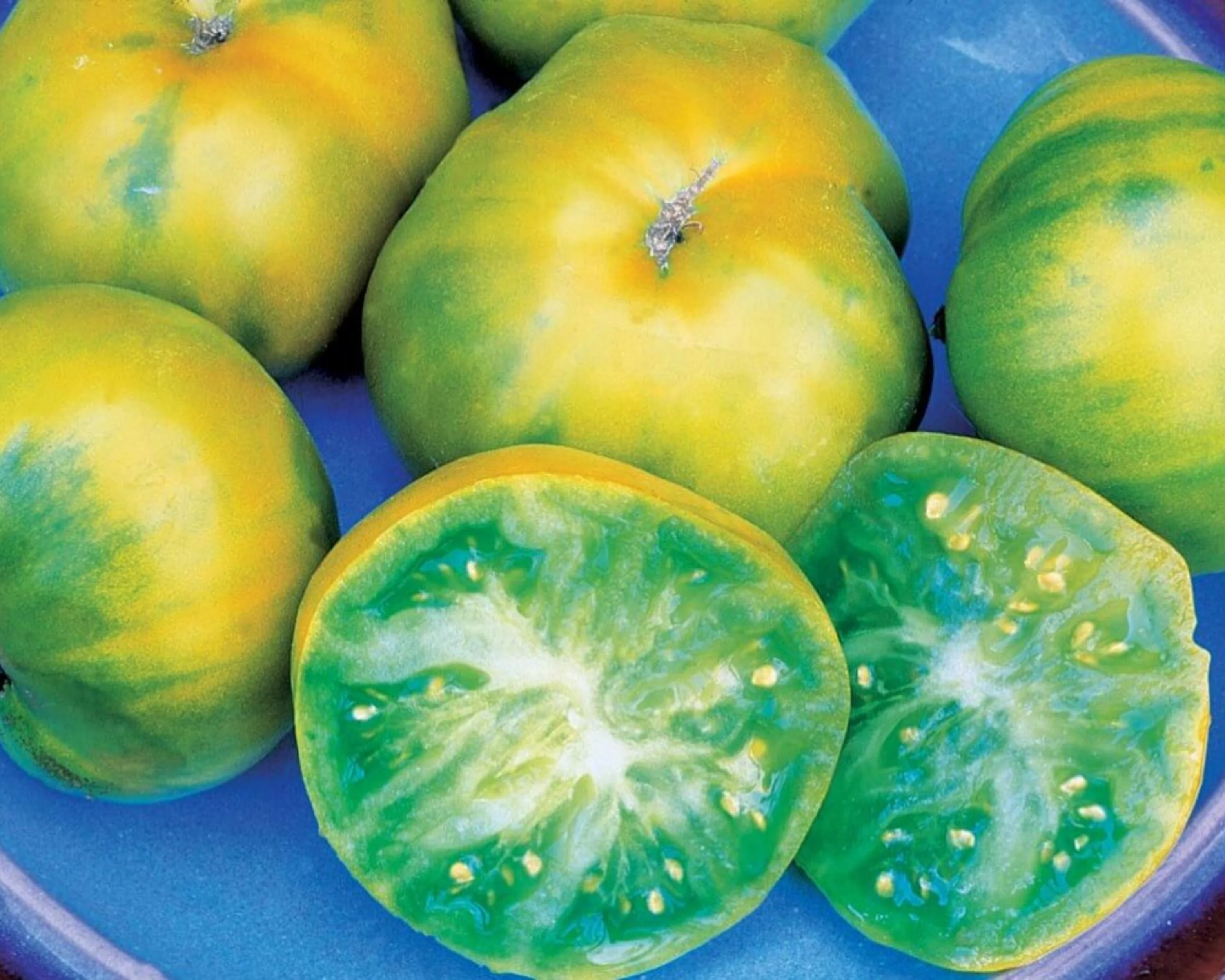 Aunt Ruby's German Green Tomato Seeds - Image 2