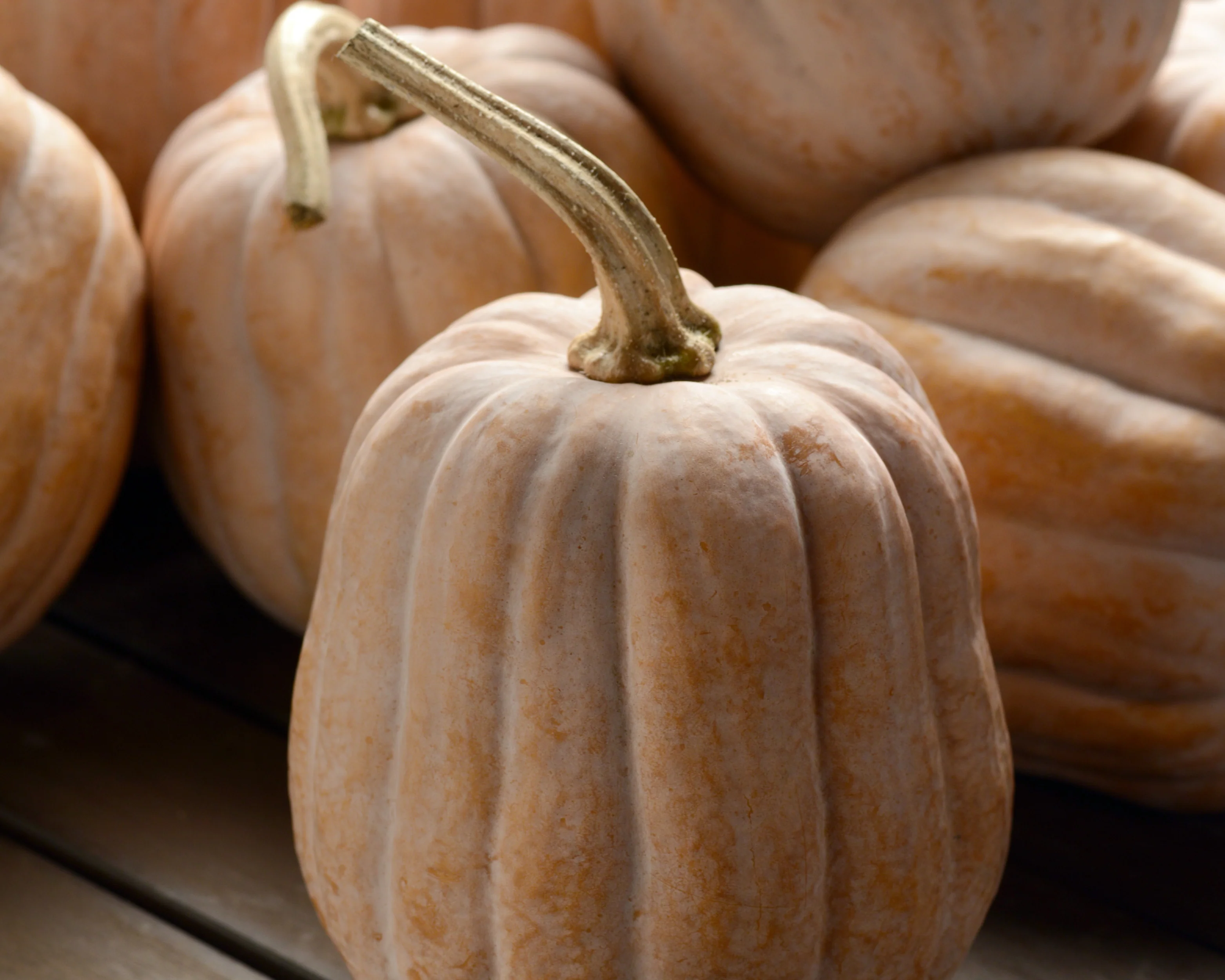 Autumn Frost Hybrid Winter Squash Seeds - Image 2