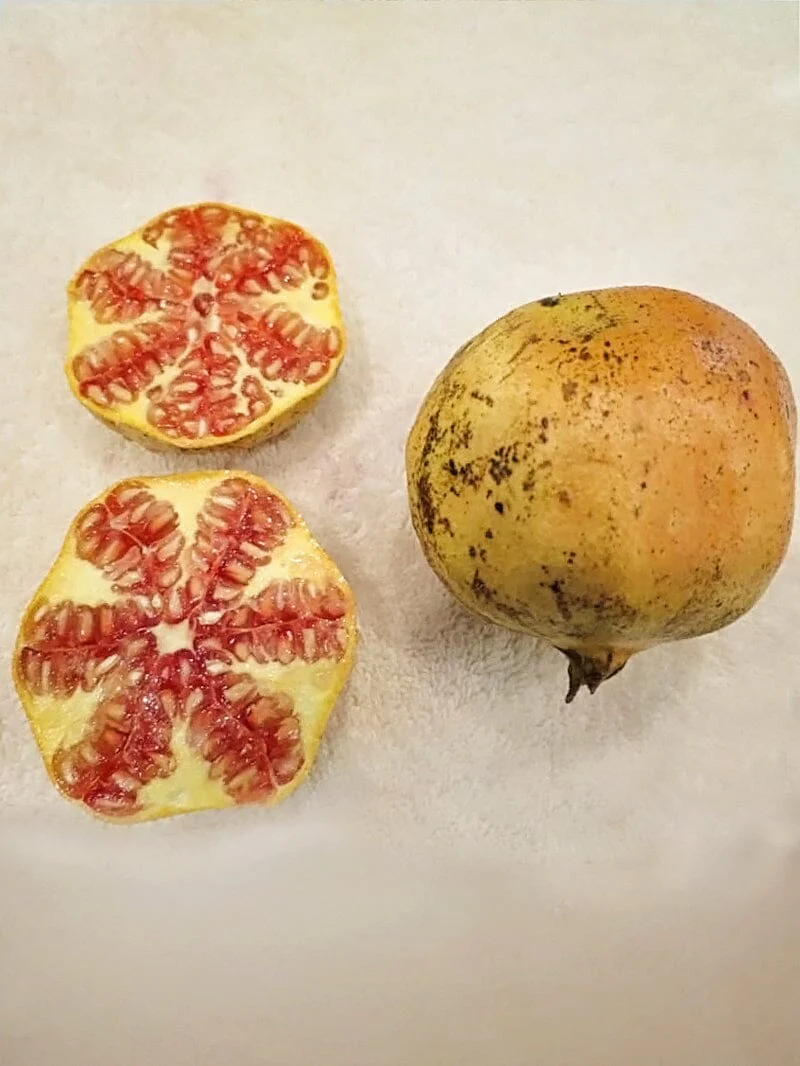 Azadi Pomegranate Tree - Image 2