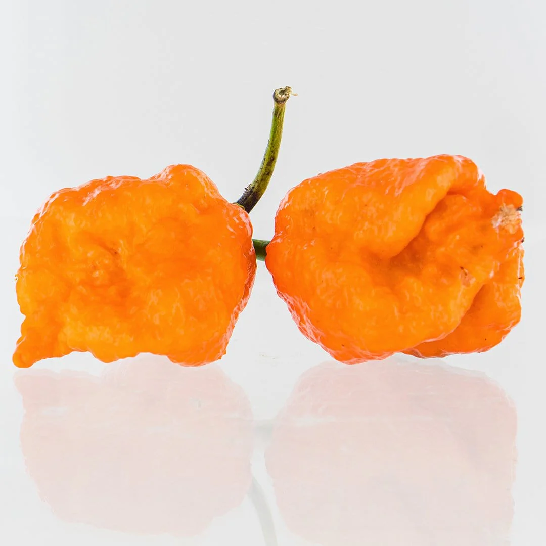 Bane Strain Peach Pepper Seeds - Image 2
