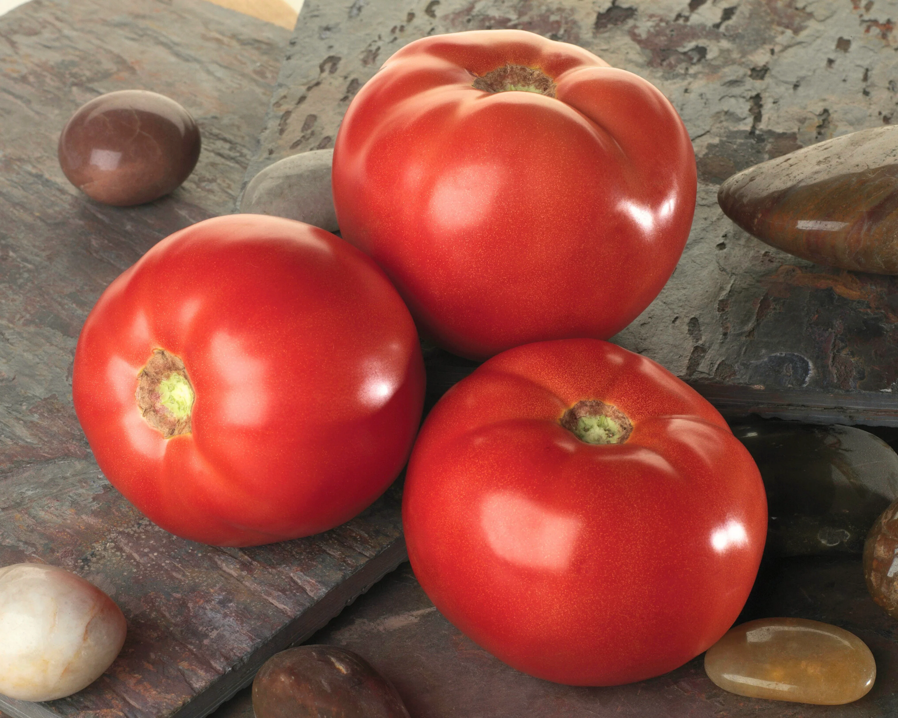 Bella Rosa Hybrid Tomato Seeds - Image 2