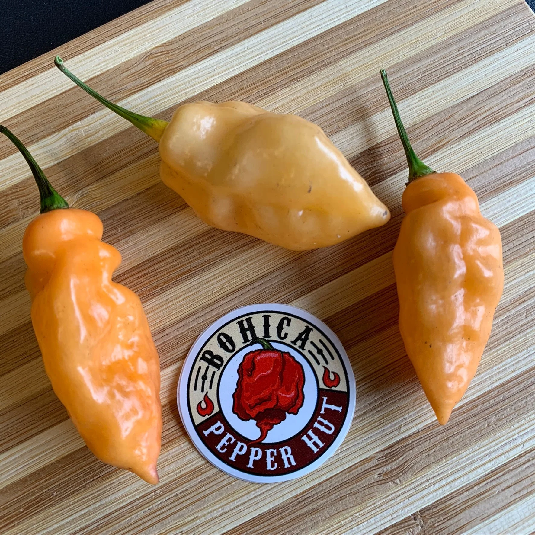 Bhut Jolokia Peach x Pimenta de Neyde - Seeds - Image 2