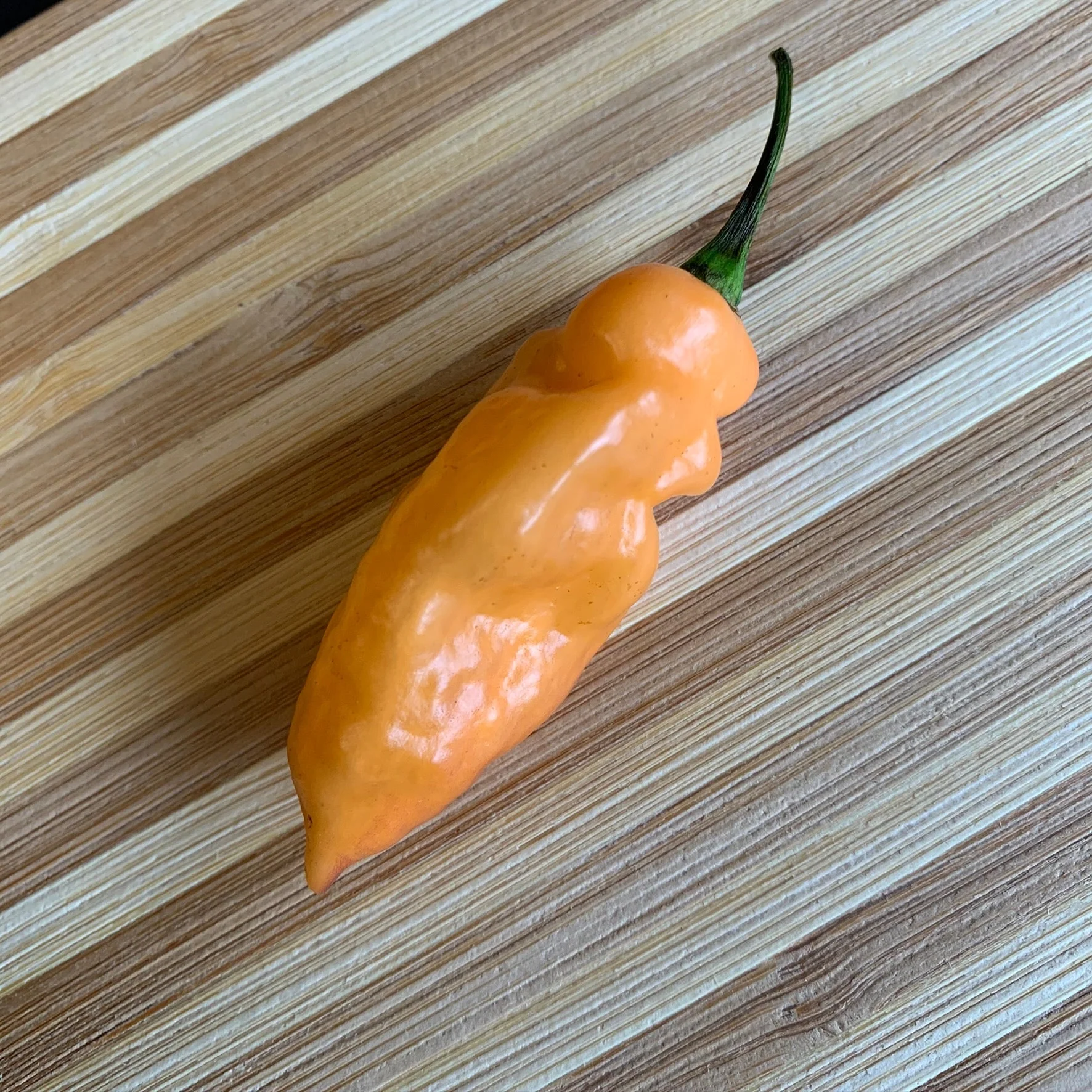 Bhut Jolokia Peach x Pimenta de Neyde - Seeds - Image 4