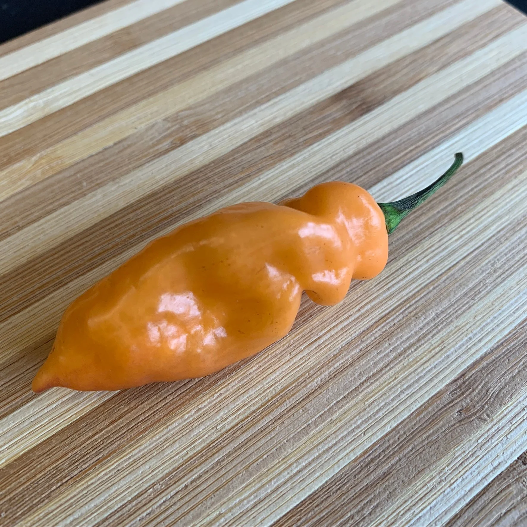 Bhut Jolokia Peach x Pimenta de Neyde - Seeds - Image 5