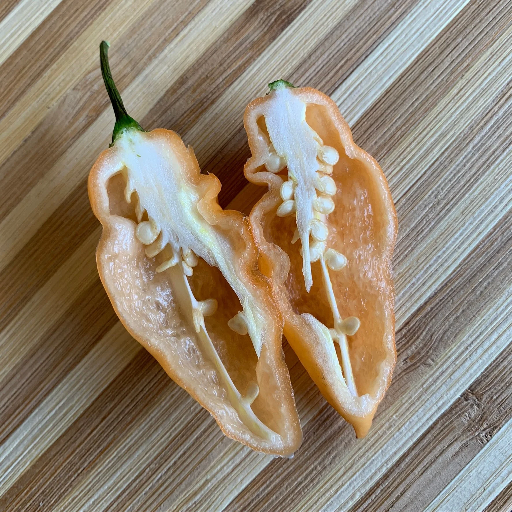 Bhut Jolokia Peach x Pimenta de Neyde - Seeds - Image 6