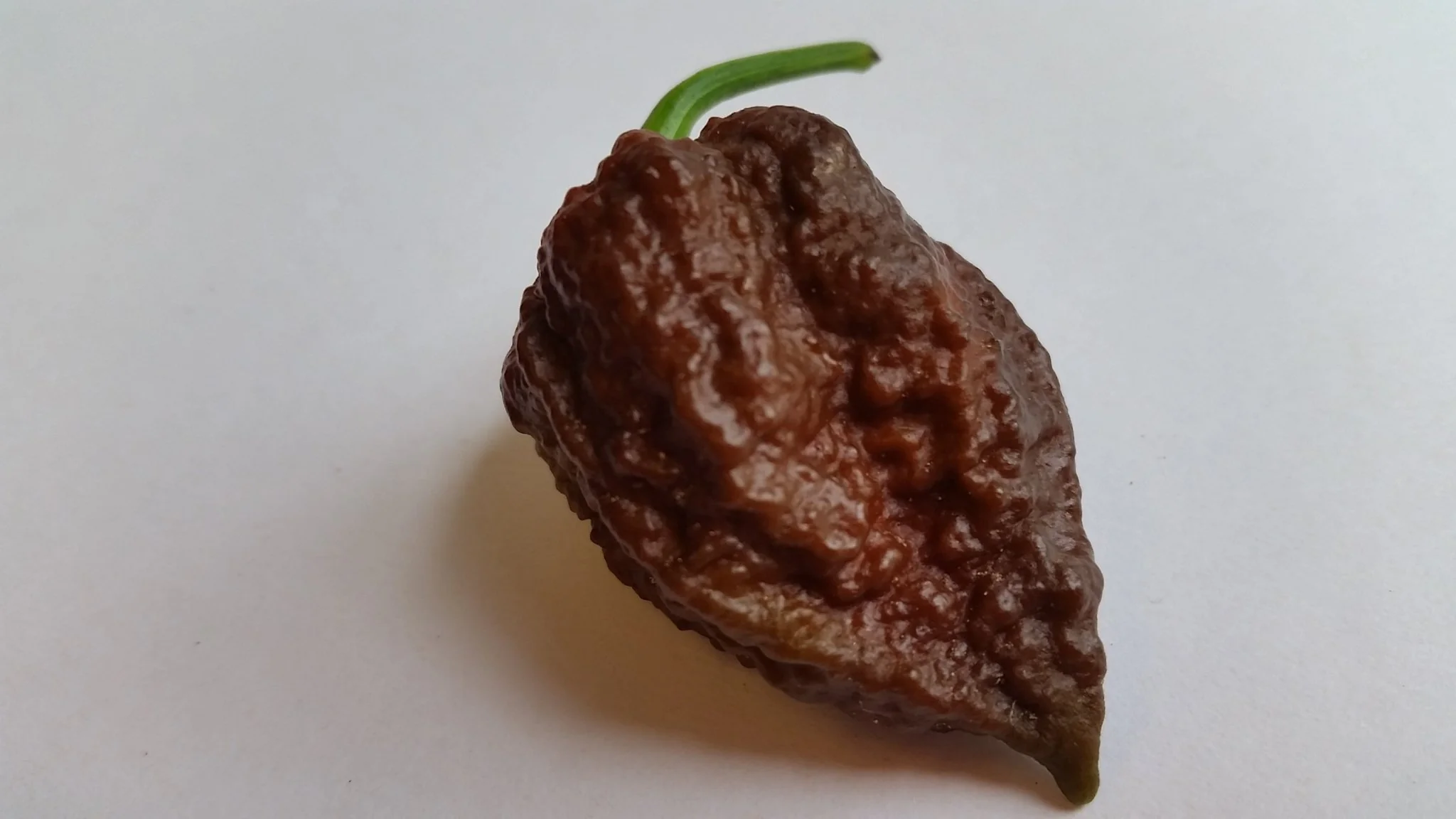Big Black Mama - Seeds - Image 2