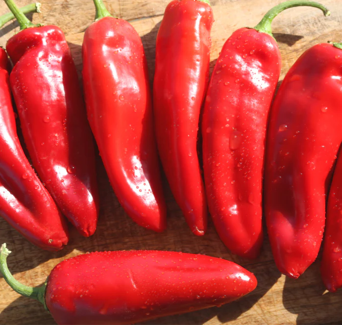 Biggie Chile Hybrid Hot Pepper Seeds - Image 2