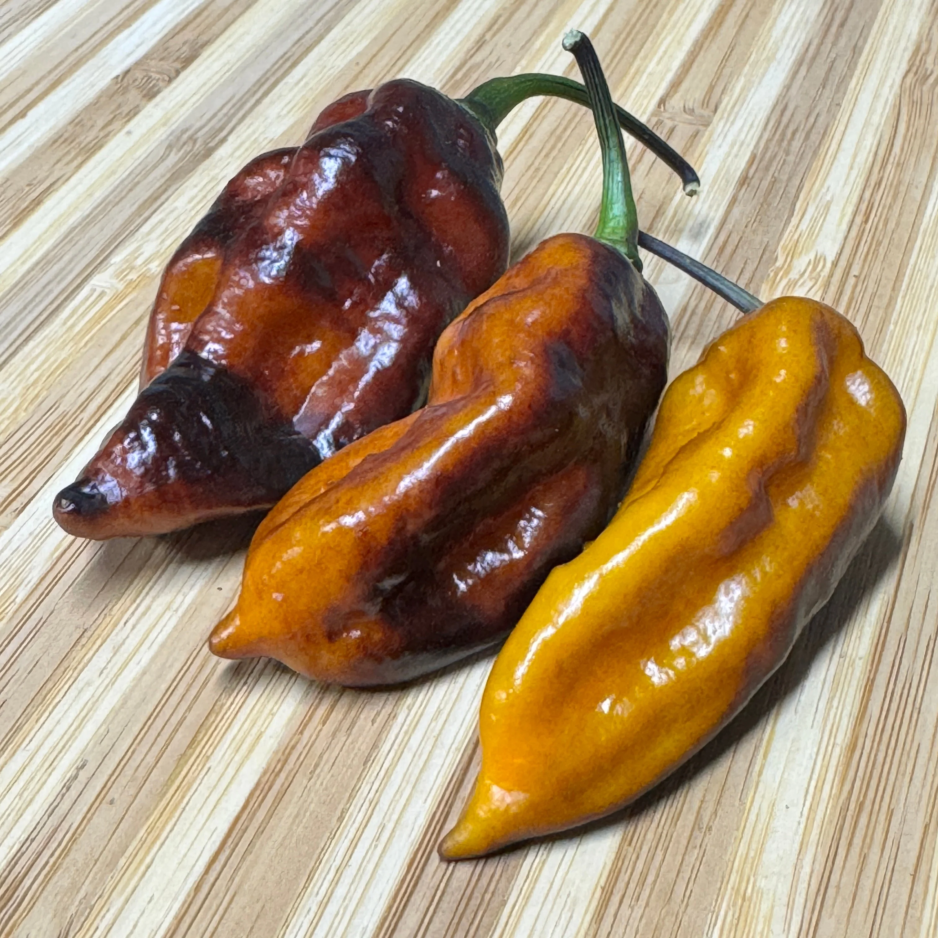Black Bastard Yellow - Seeds - Image 5