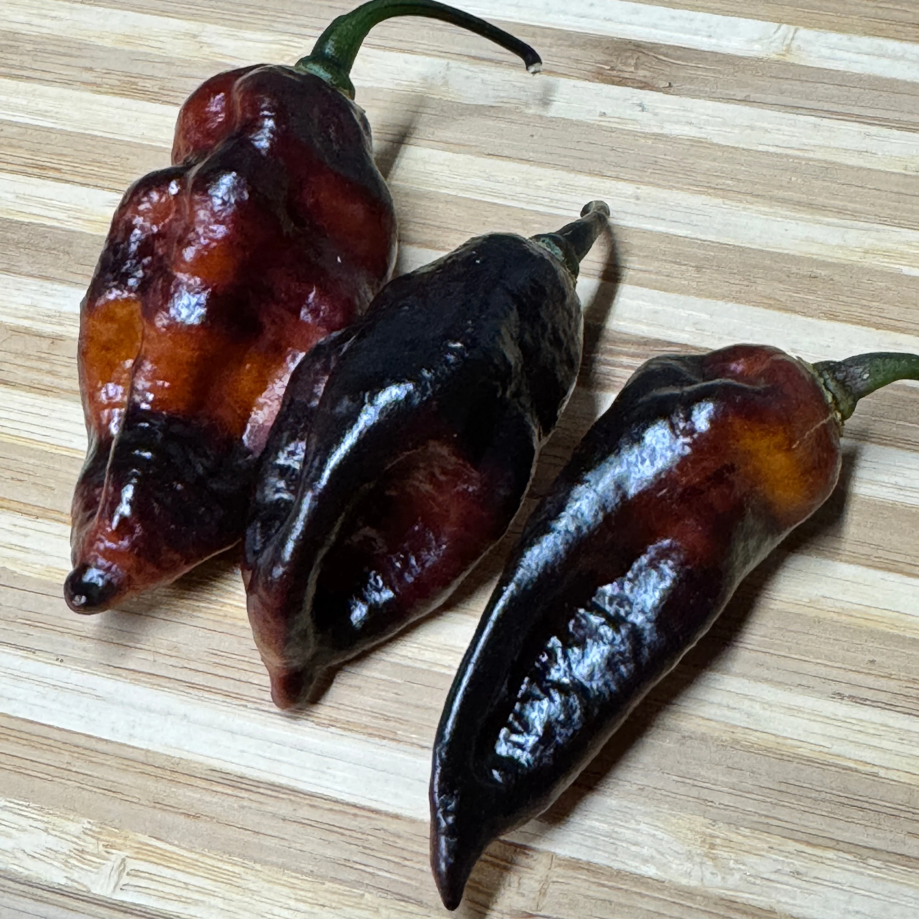 Black Bastard Yellow - Seeds - Image 7
