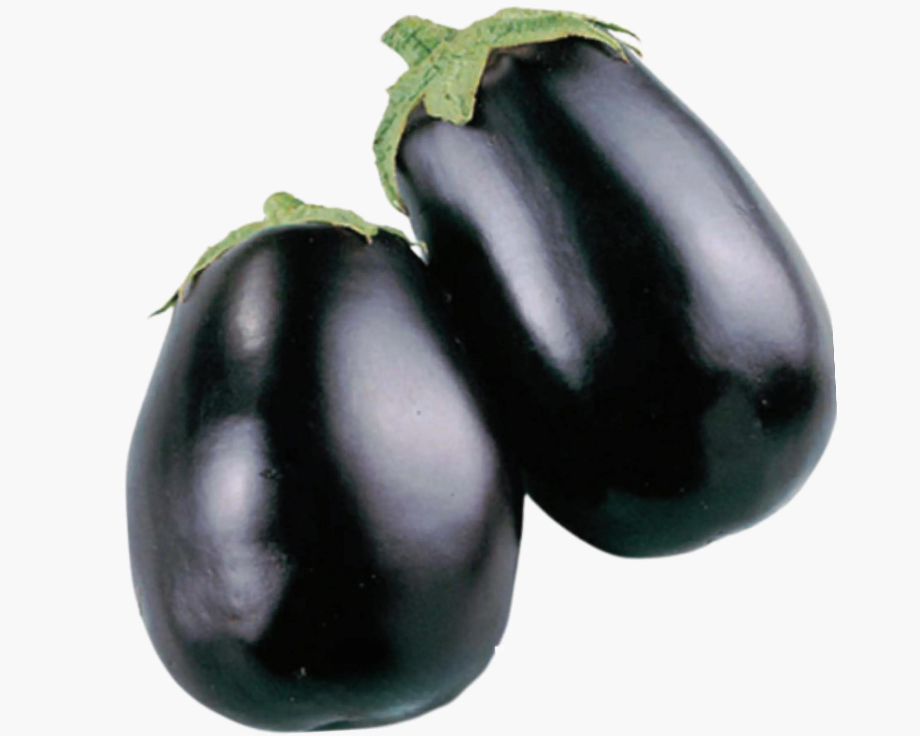 Black Beauty Eggplant Seeds - Image 2