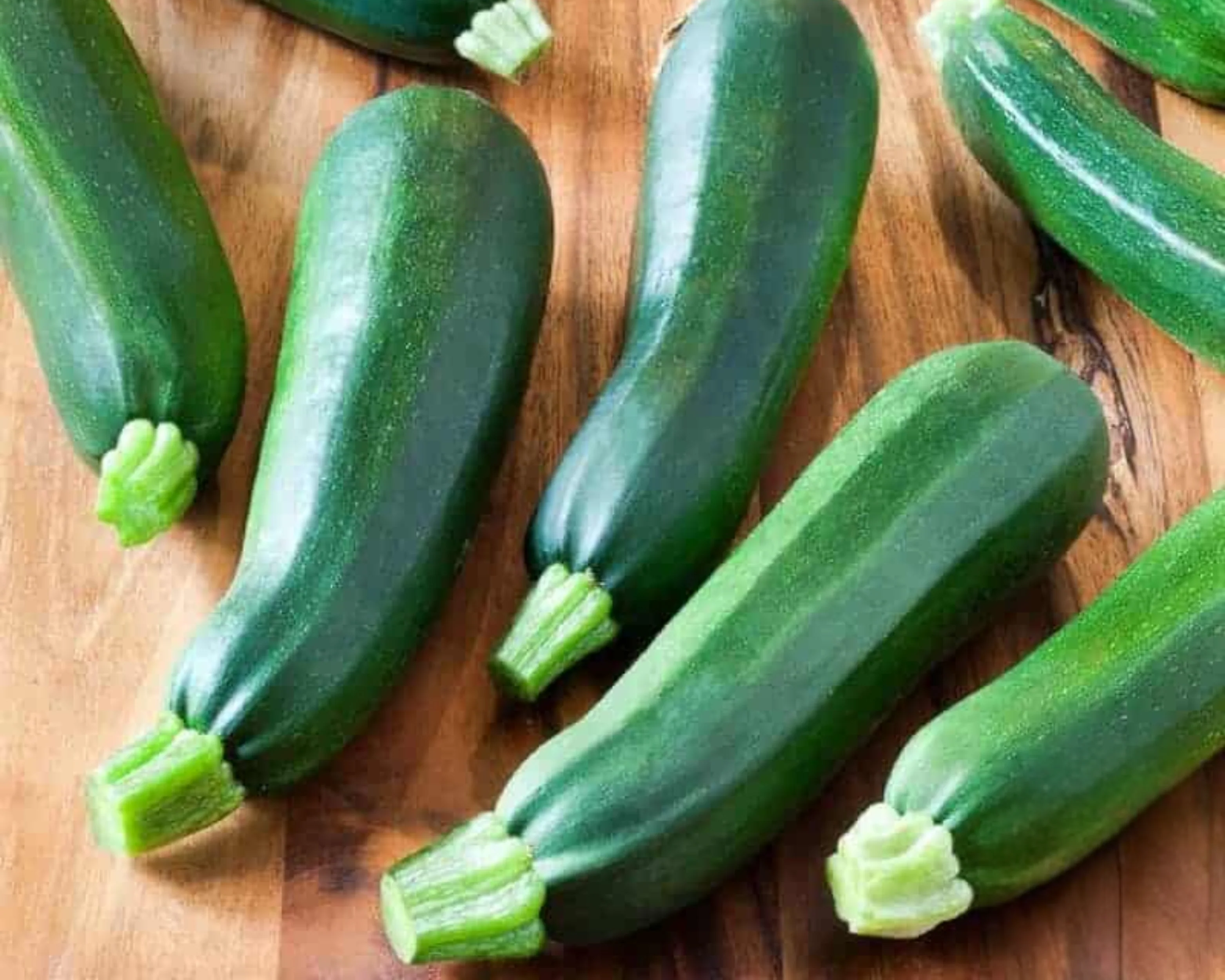 Black Beauty Zucchini Squash Seeds - Image 2