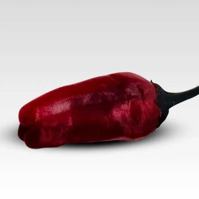 Black Scorpion Tongue Pepper Seeds - Image 3