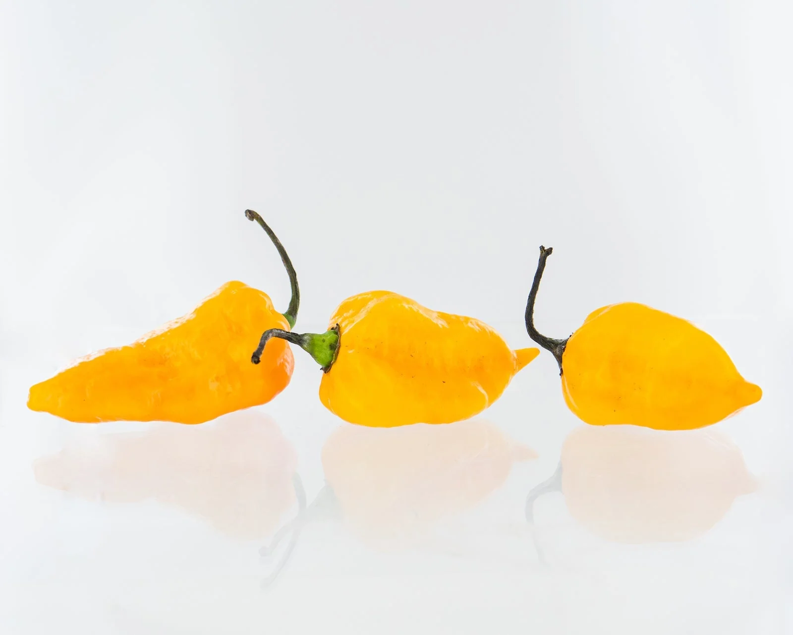 Bonda ma Jacques Pepper Seeds (Non-Isolated) - Image 2