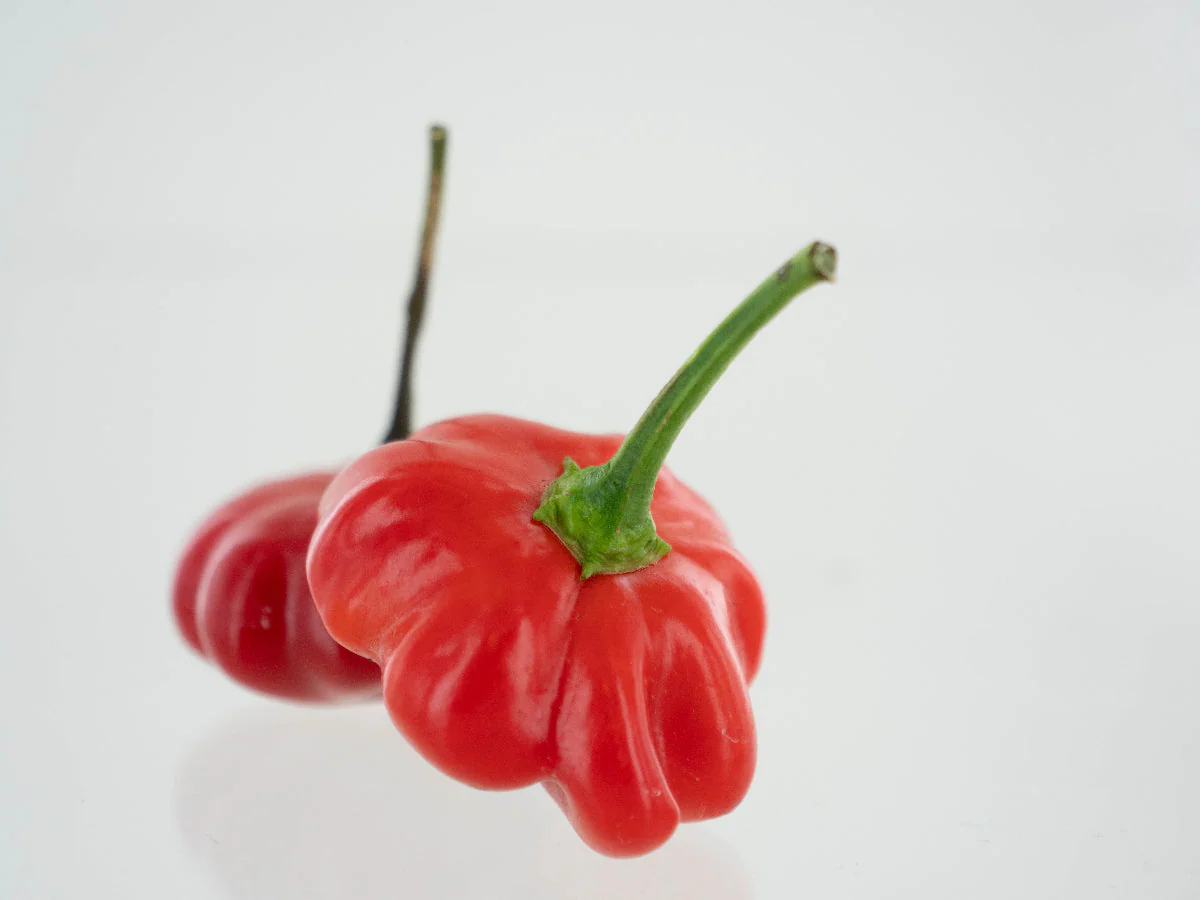 Brazilian Starfish Pepper Seeds - Image 2