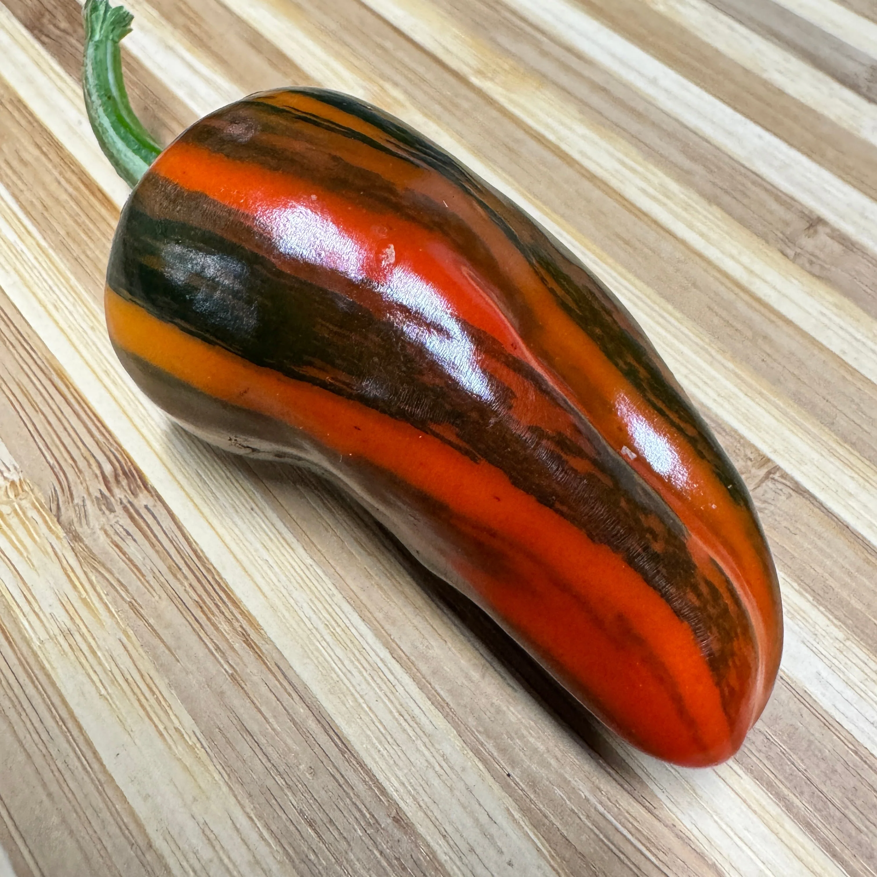Bryans Blood Rainbow - Seeds - Image 5