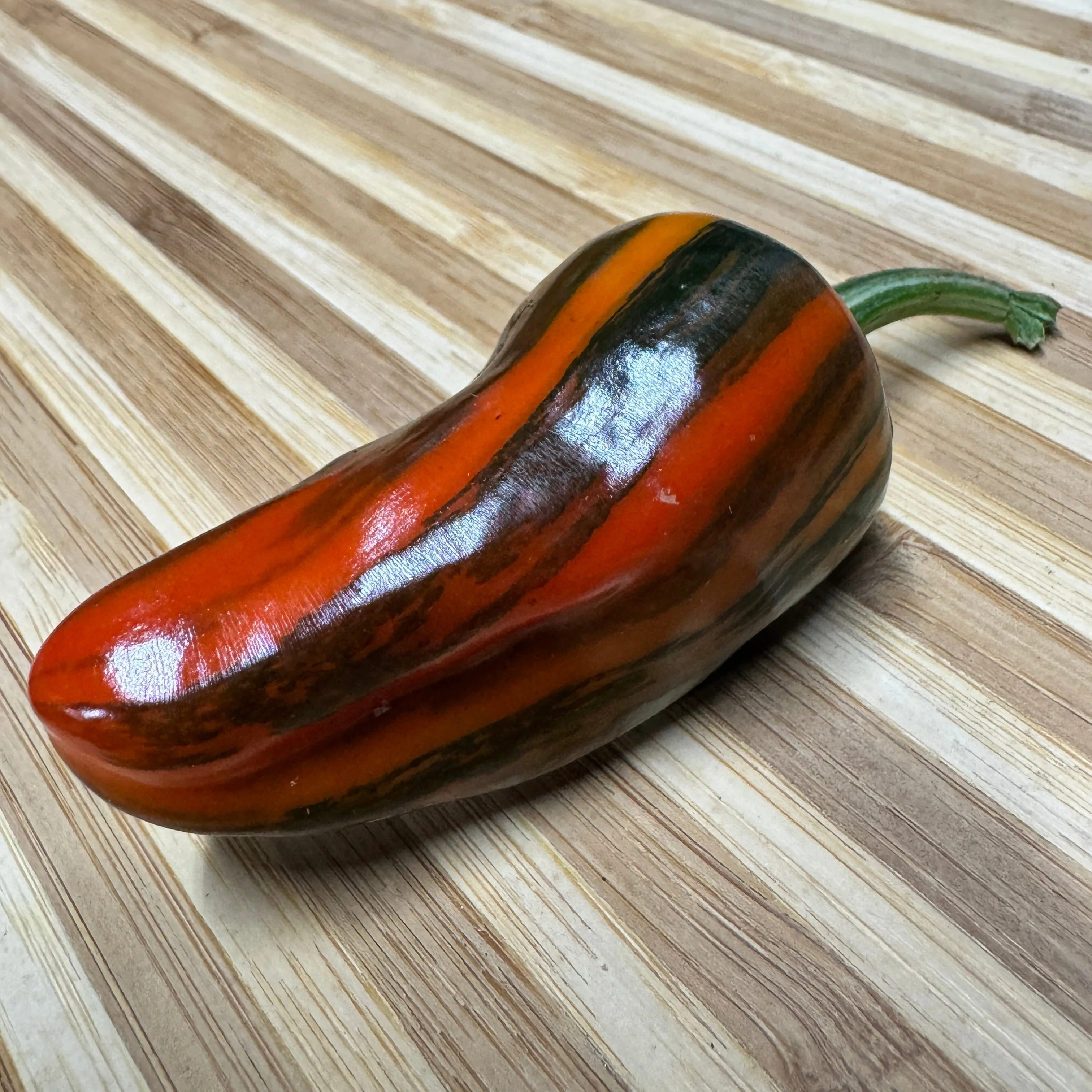 Bryans Blood Rainbow - Seeds - Image 6